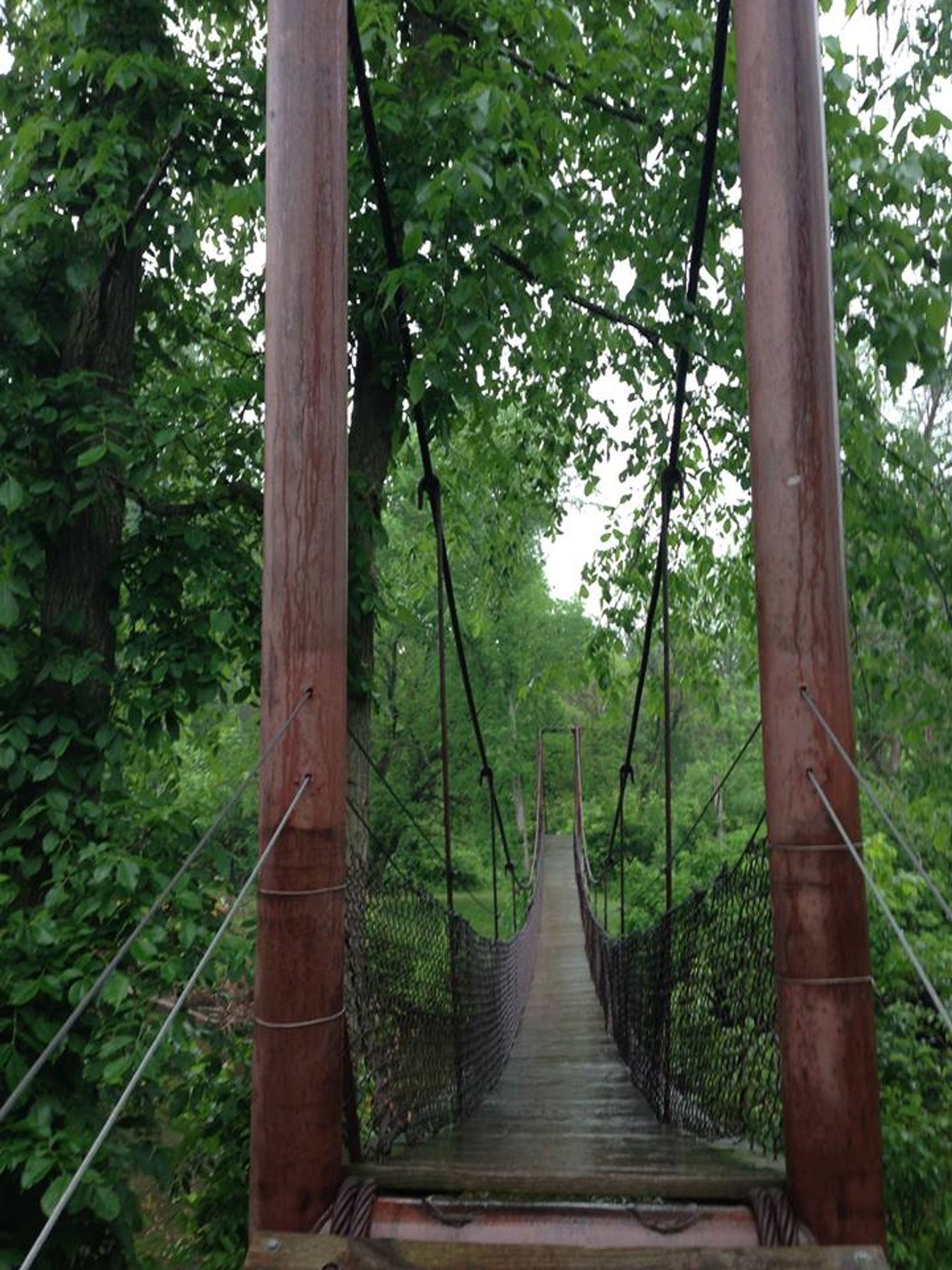 Swinging bridge in the nature park. Photo by Isabella Parks and Rec.