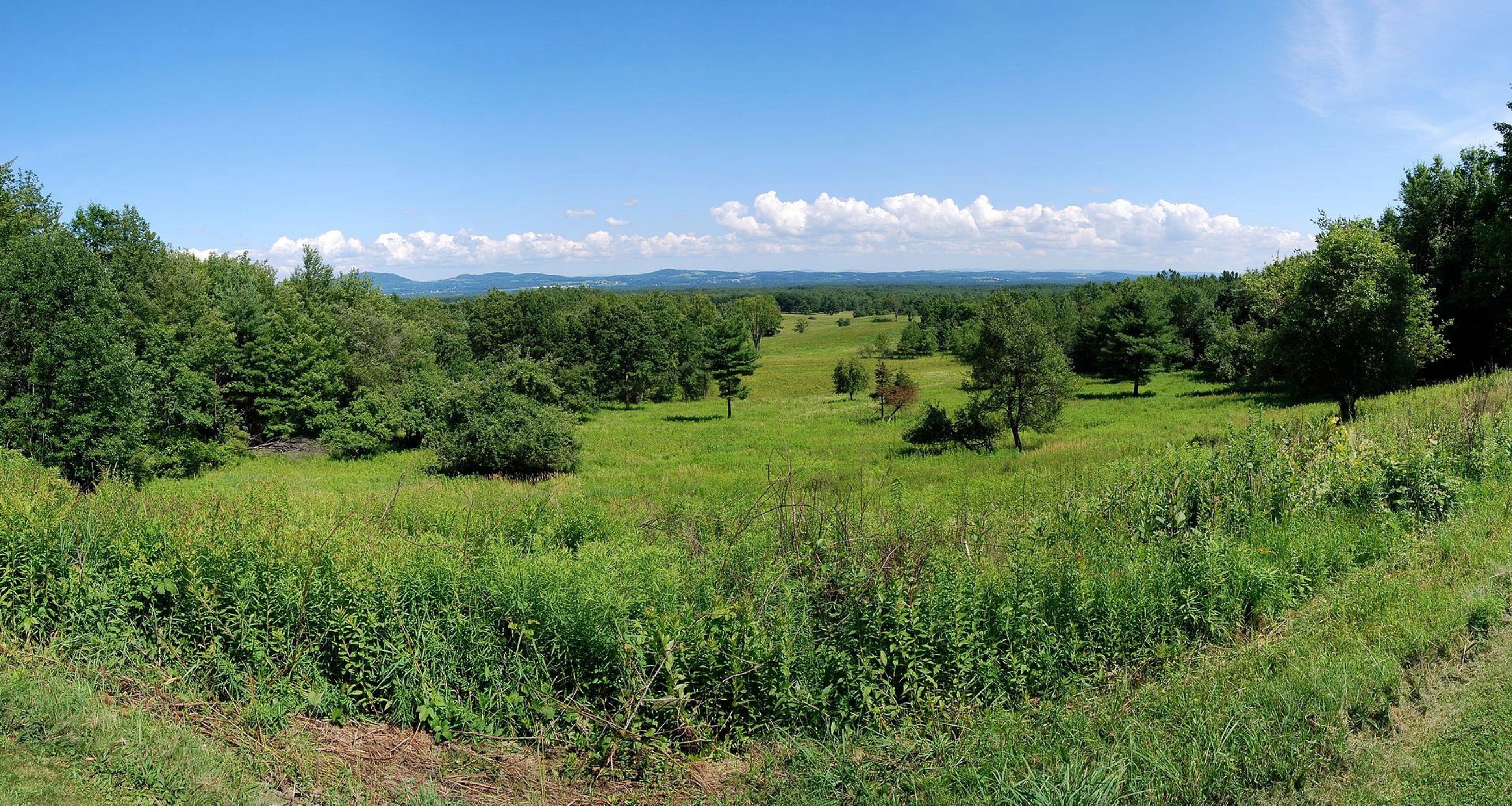 View of the battlefield. Photo by Matt Wade/wiki.