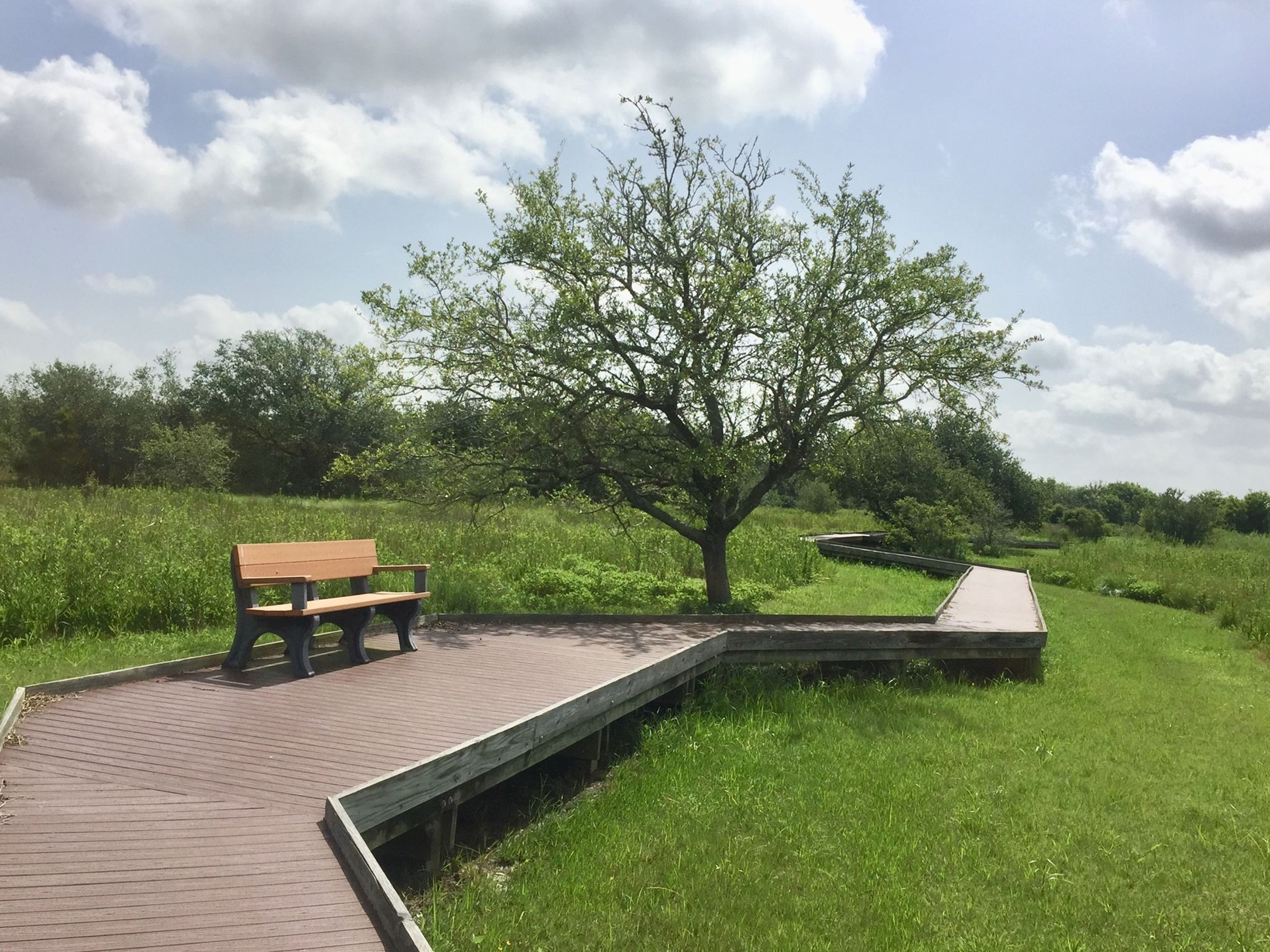 Boardwalk on the Willows Trails. Photo by Anahuac NWR.