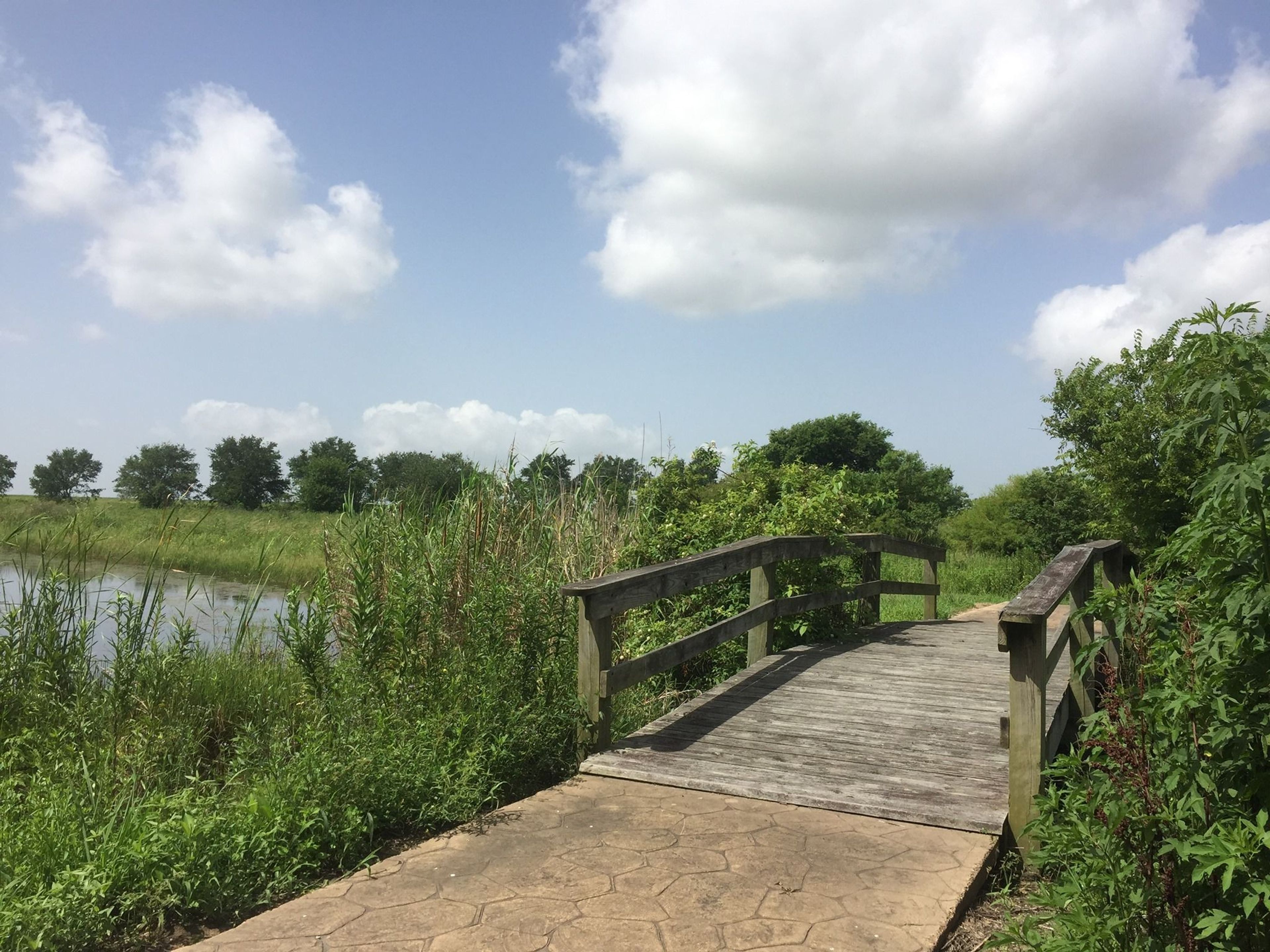 Bridge and refuge. Photo by Anahuac NWR.