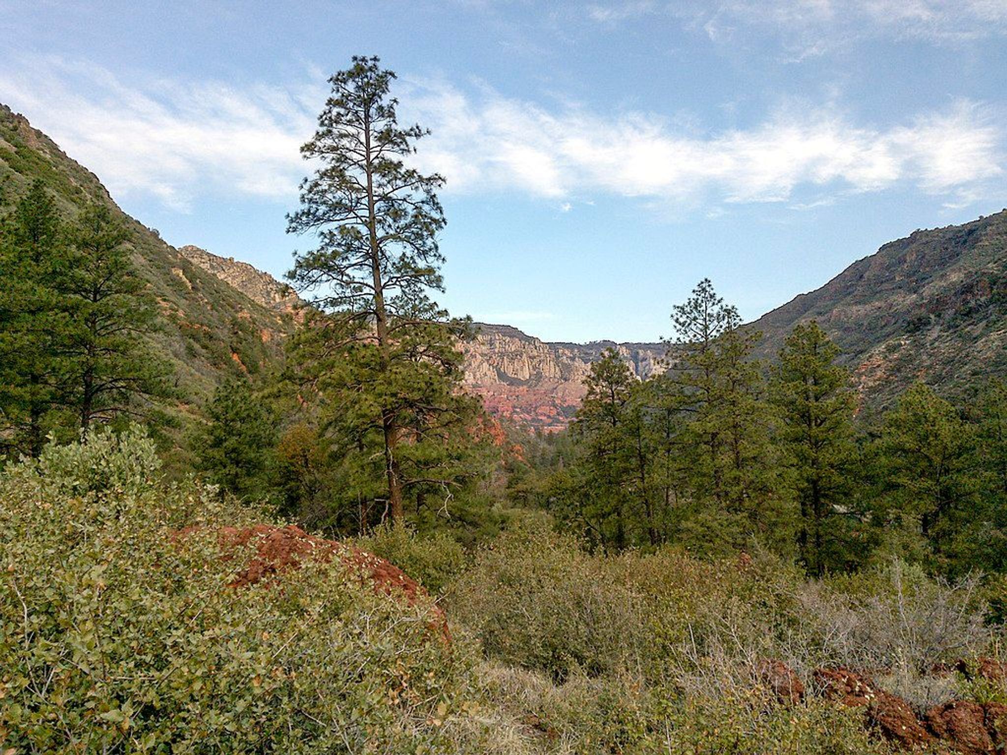 Wilson Mountain North Trail, Sedona, Arizona, Coconino County. Photo by David Pinter/wiki.