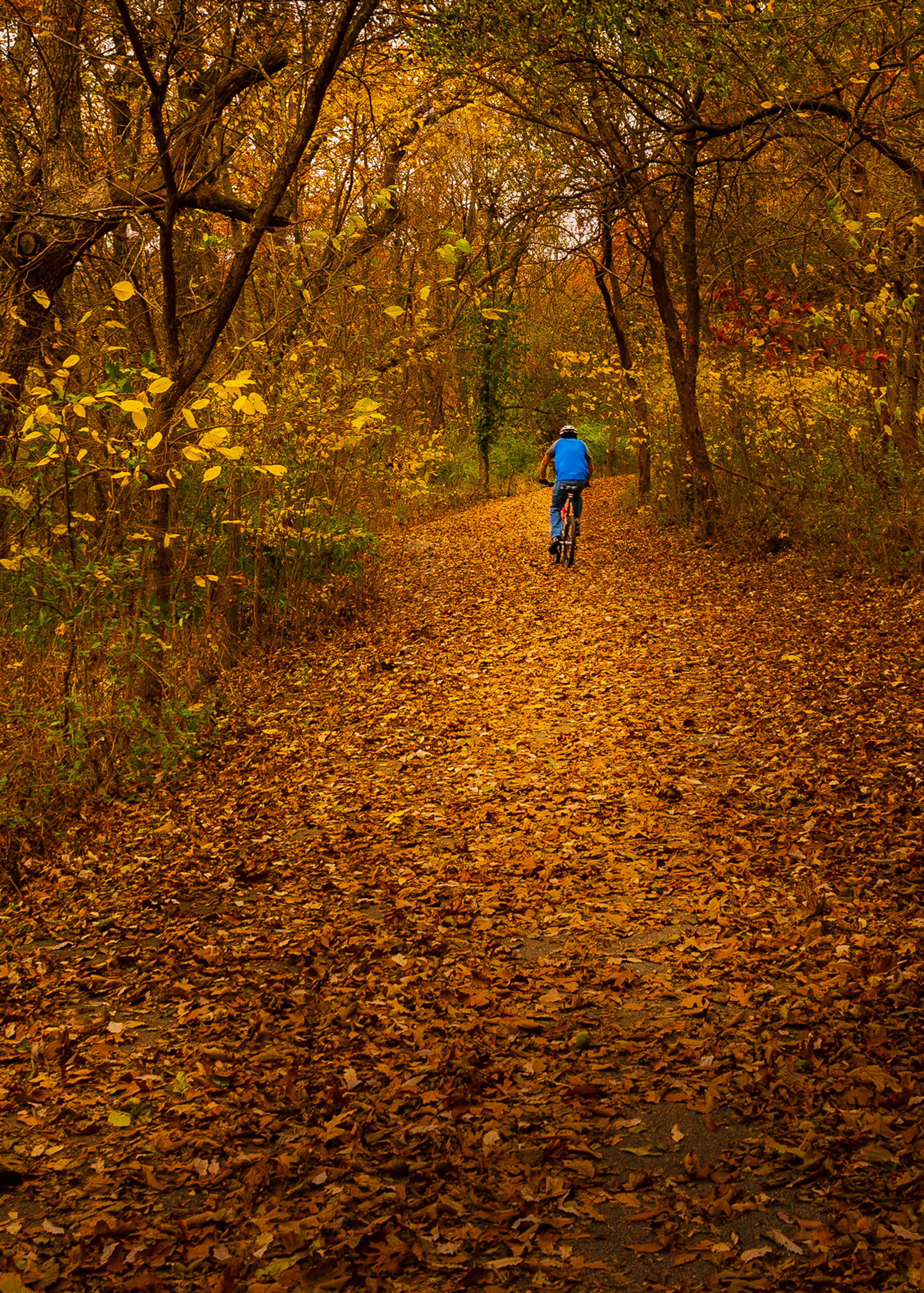 Fall biking on the Wilson's Creek Greenway Trail. Photo by Allin Sorenson.