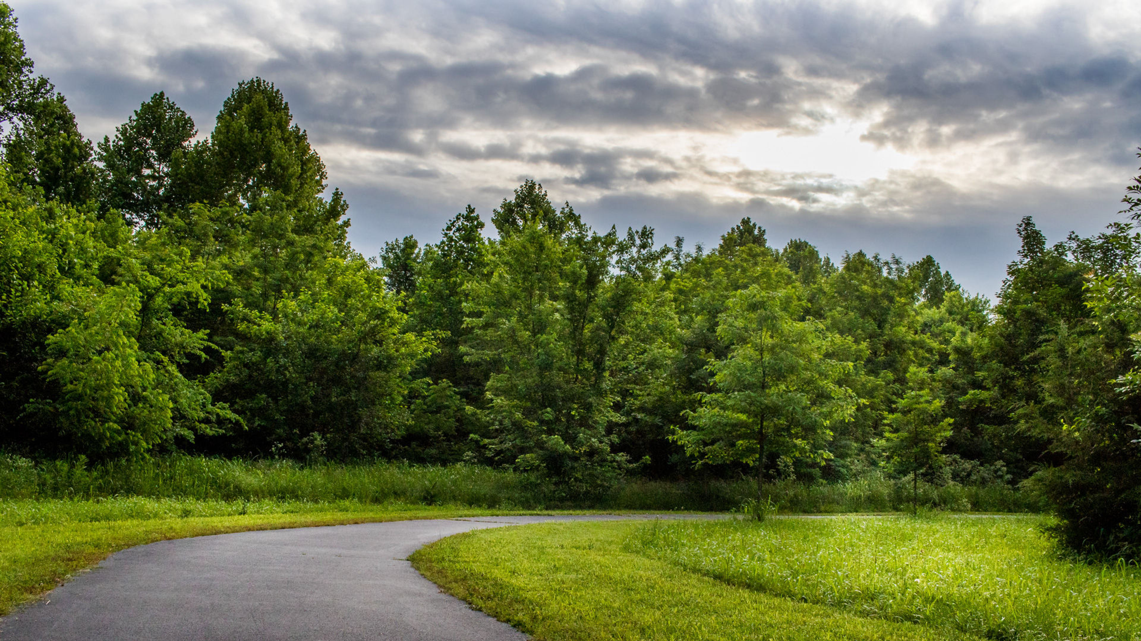 Evening light on Wilson's Creek. Photo by Allin Sorenson.