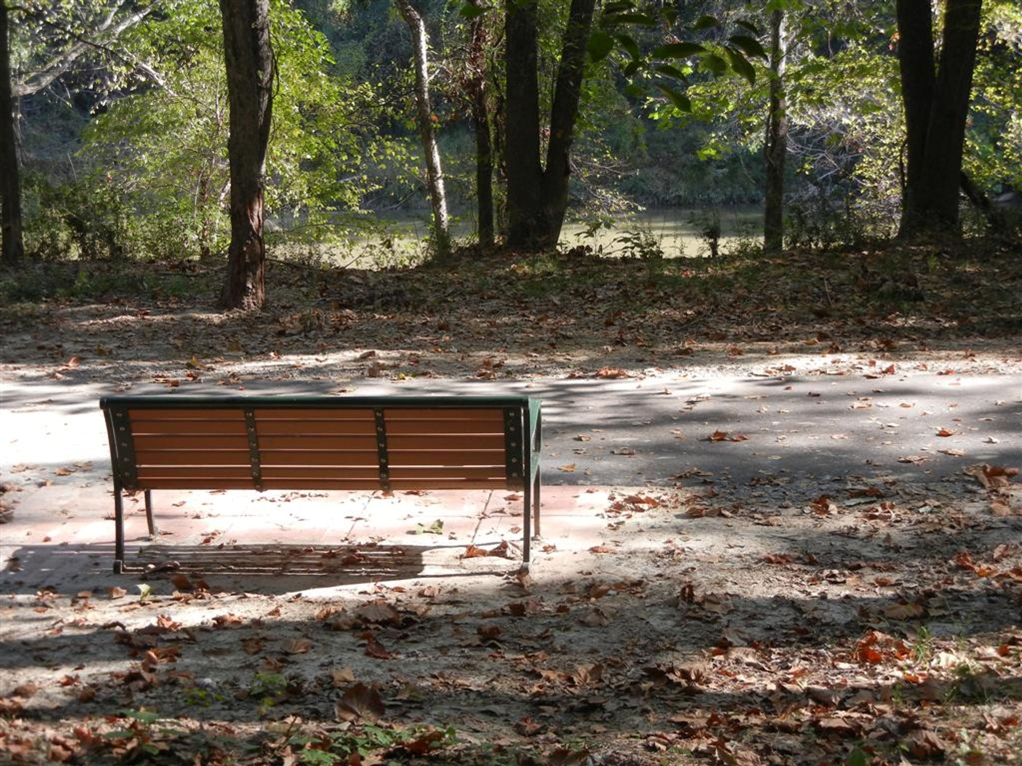 Bench Beside the River