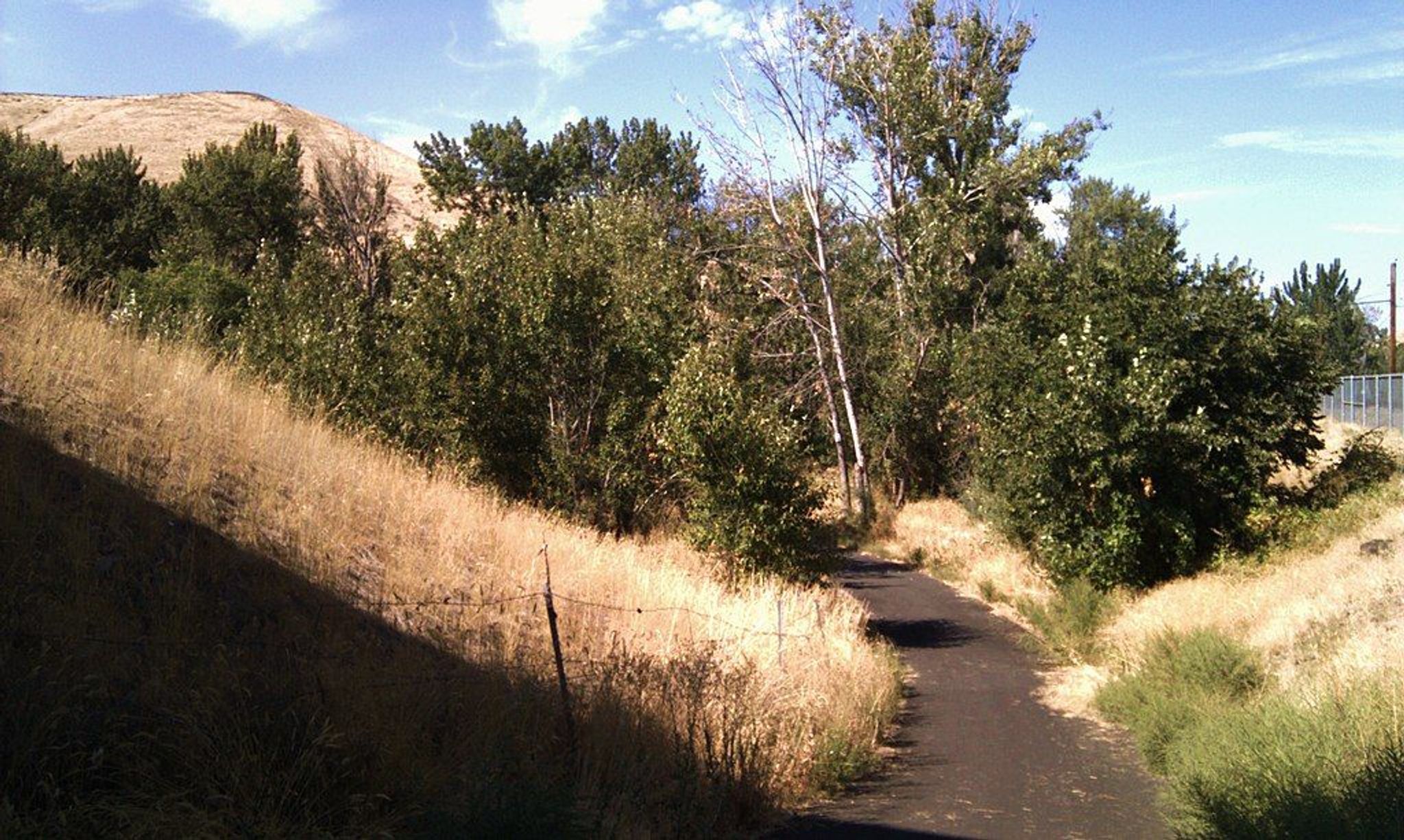 North, where the 6th Avenue bike trail meets the Yakima Greenway, under the shadow of Highway 12. Photo by September Autumnleaf/wiki.