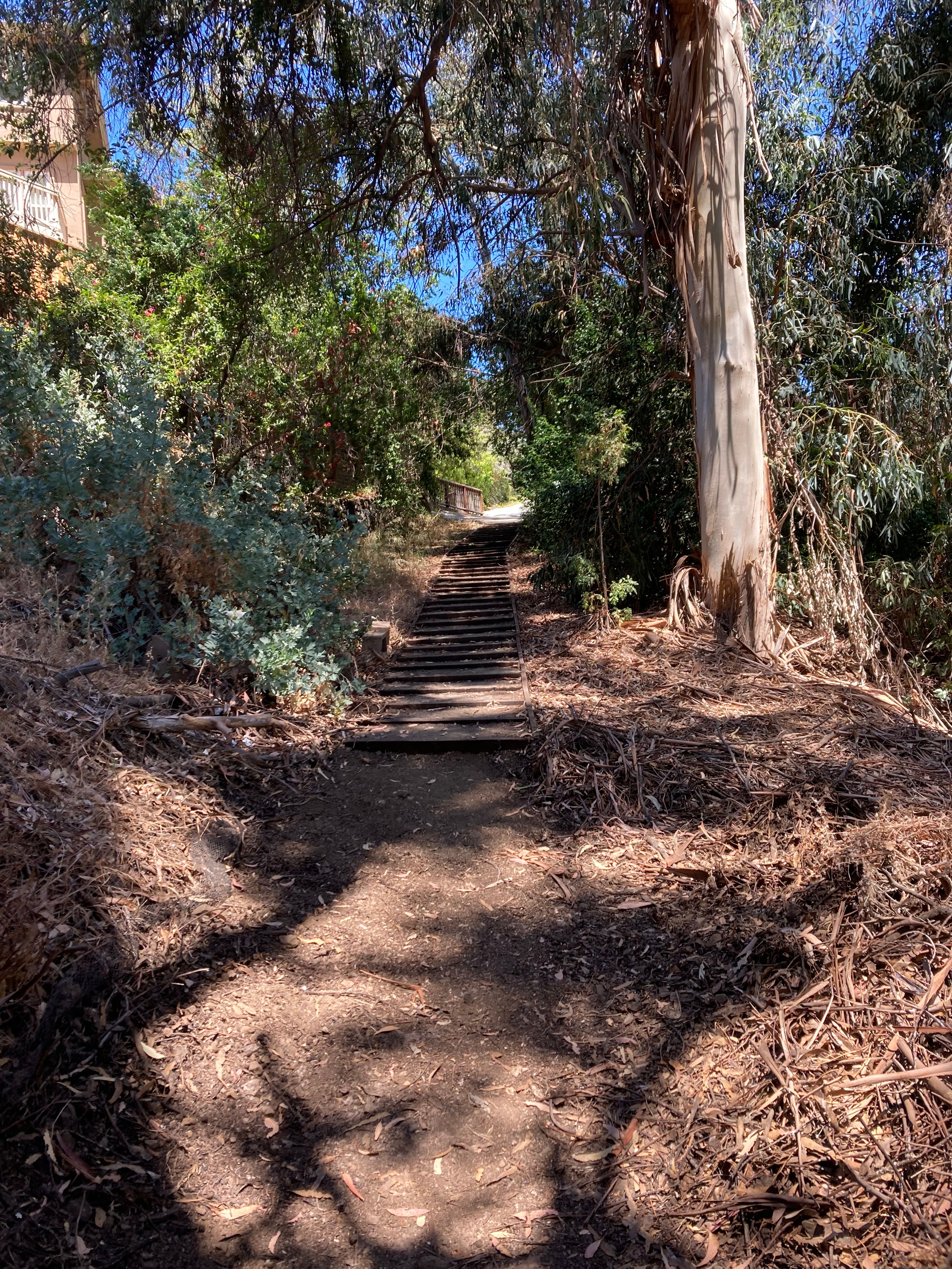 Looking north up the stairs towards Crescent Court in Cupertino