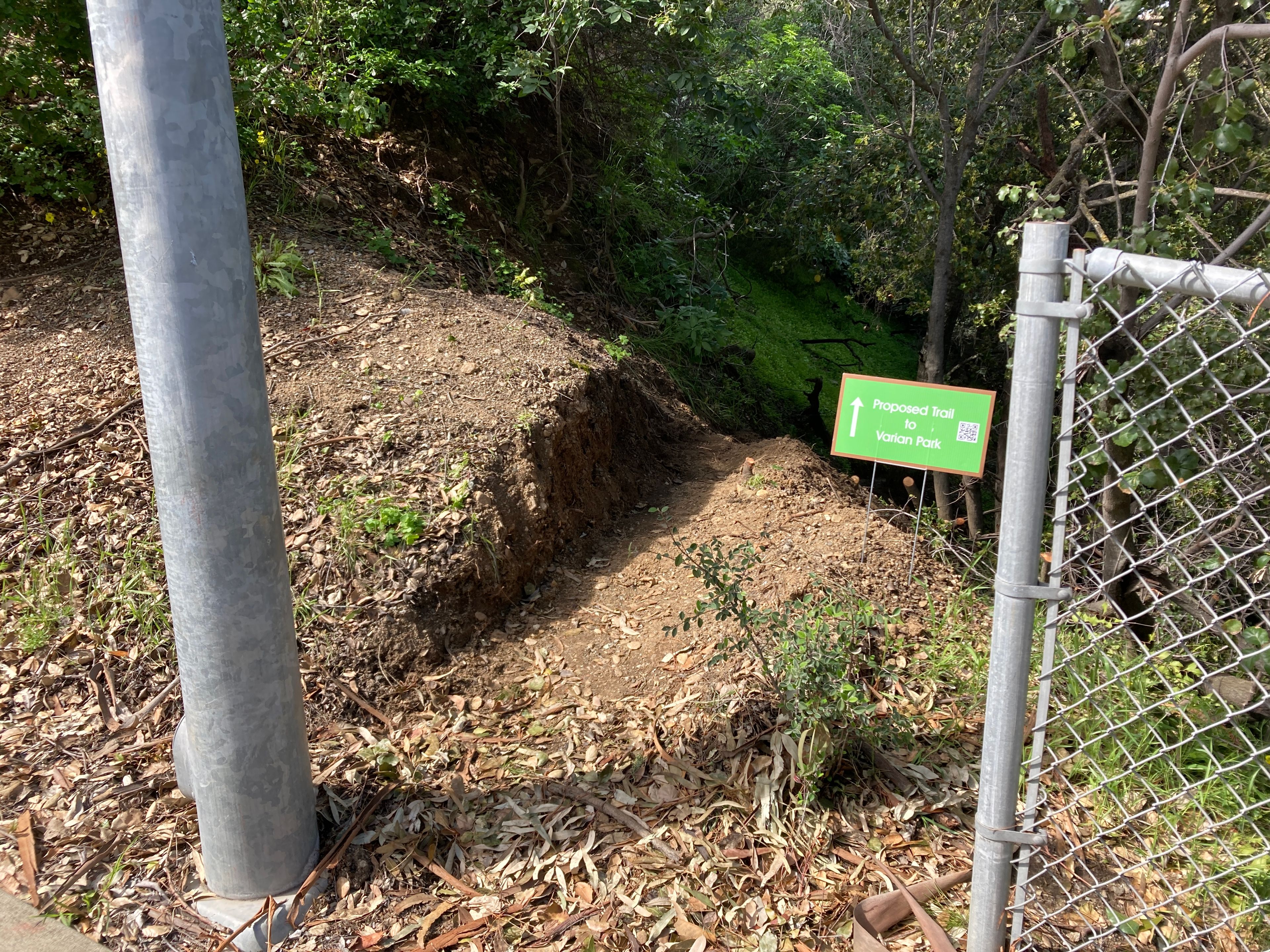 View from Stevens Creek Blvd. sidewalk of a freshly cut trail heading north just west of the bridge over Stevens Creek.