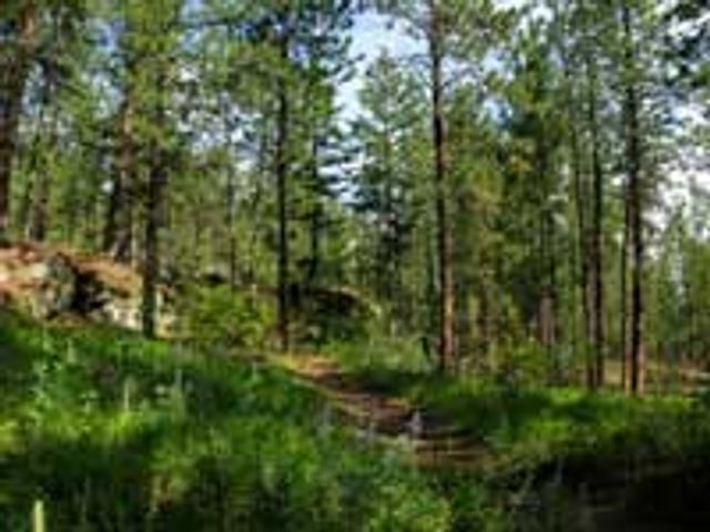 View of Dishman Hills Natural Area