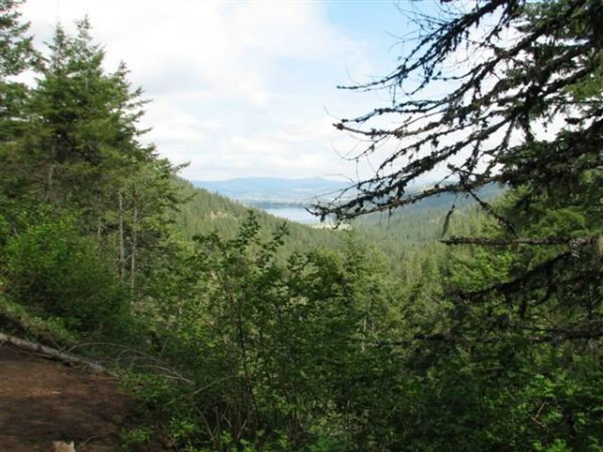 View from Liberty Lake Regional Park