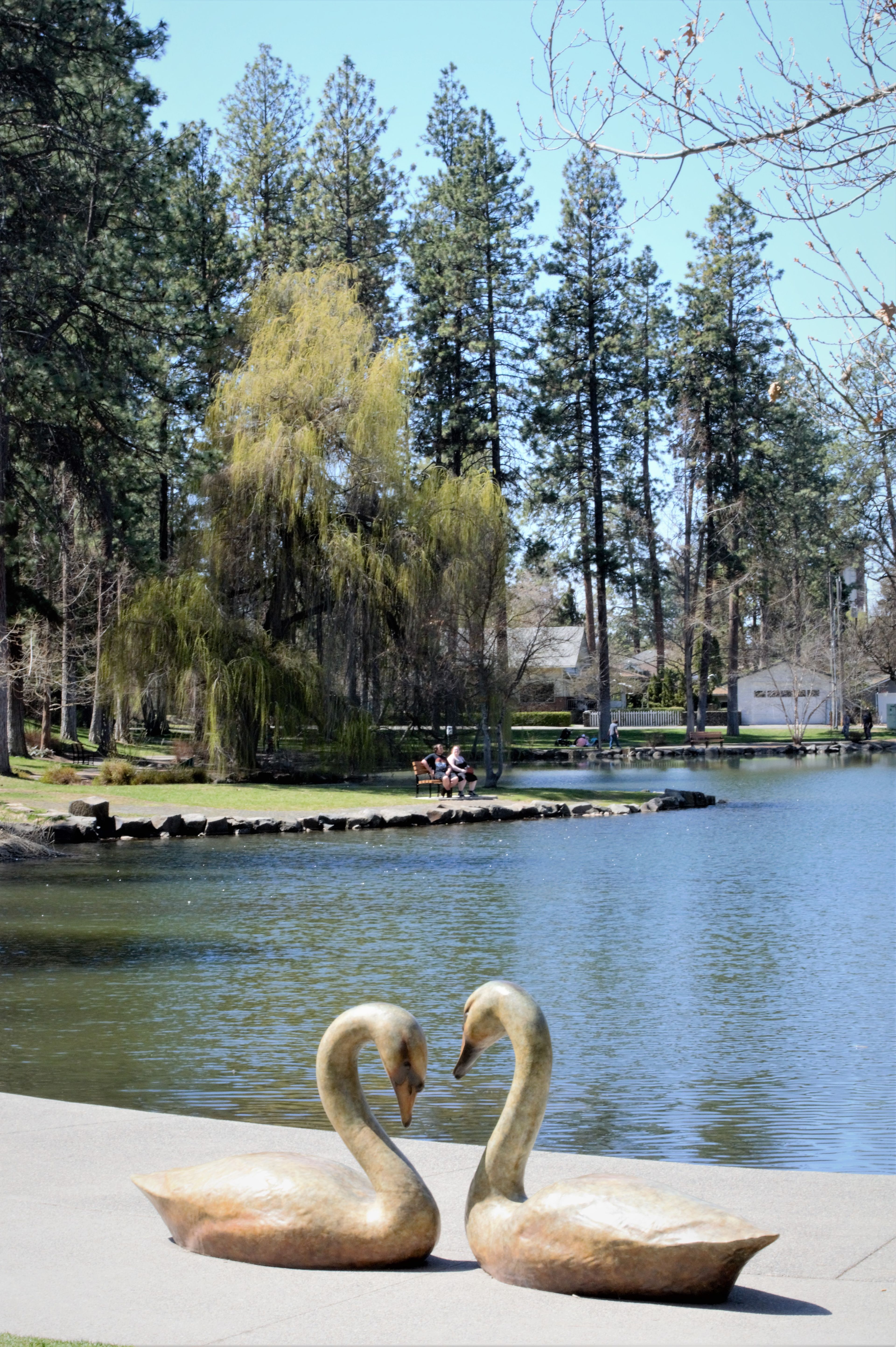 The pond at Manito Park