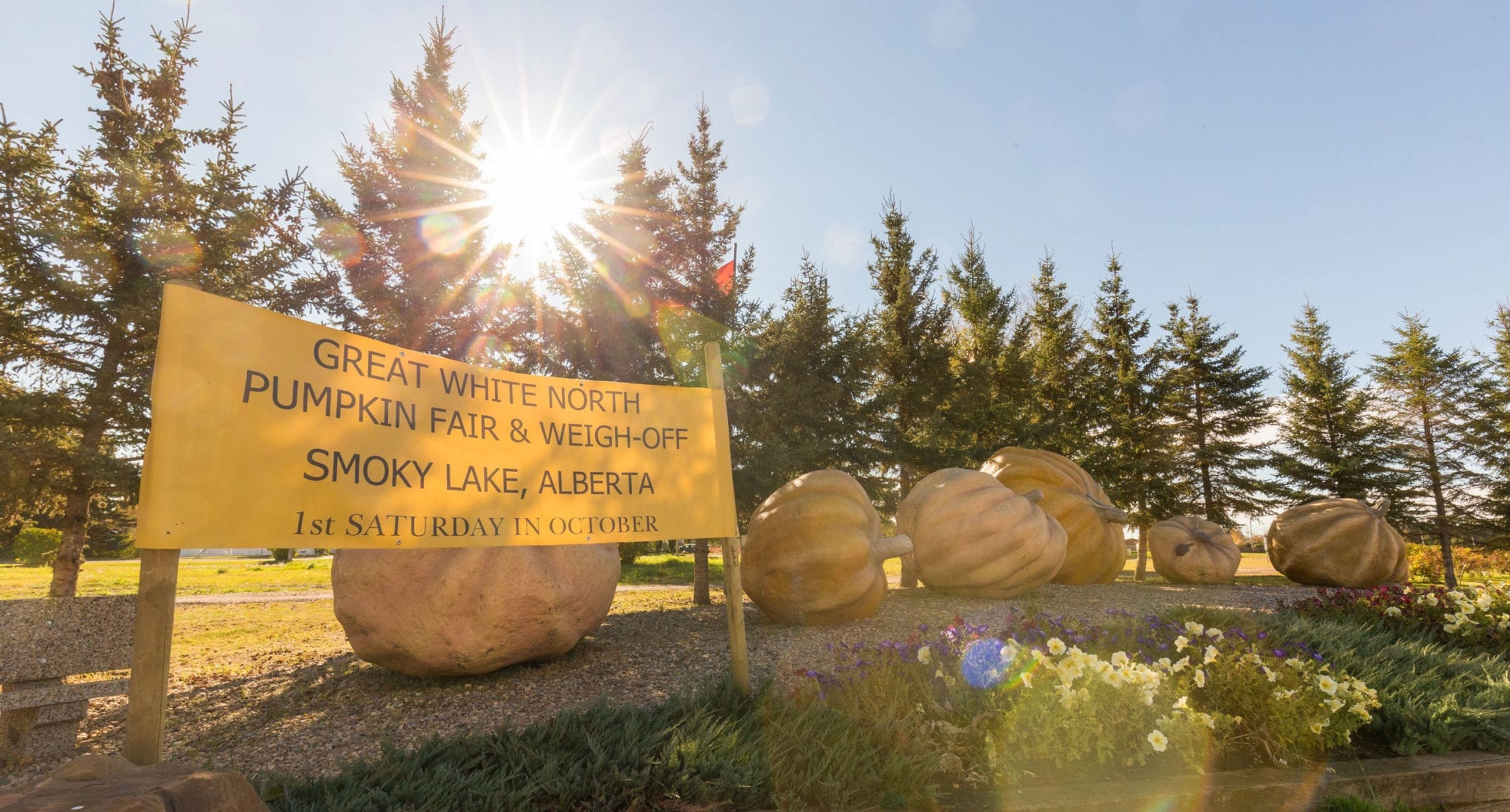 Pumpkin Park in all its glory