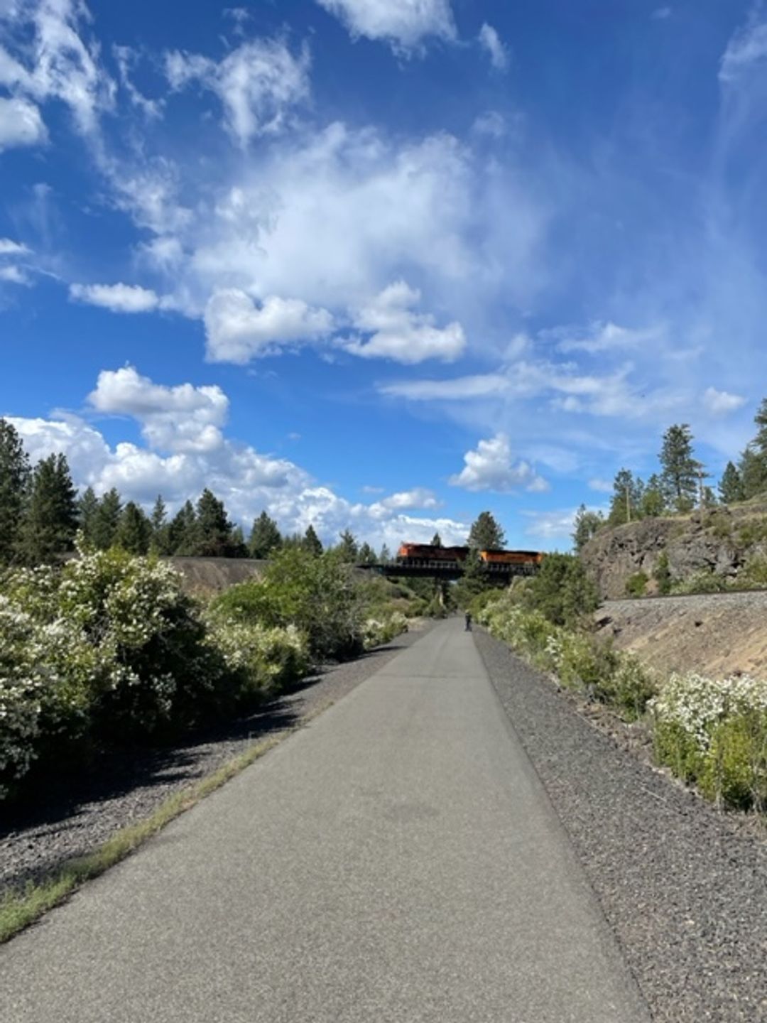 Train passing over Columbia Plateau State Park Trail.