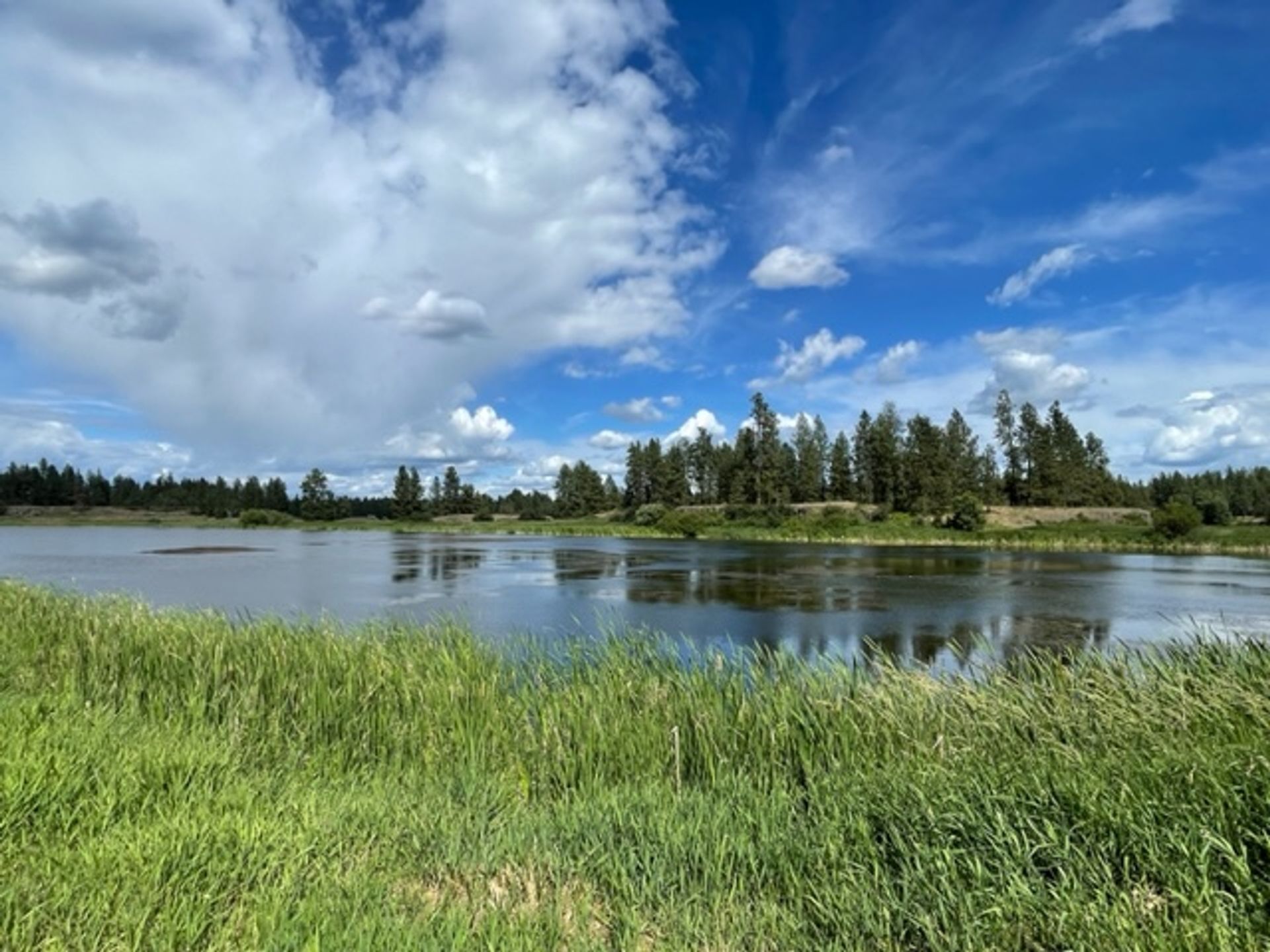 Wetland area next to the Columbia Plateau State Park Trail