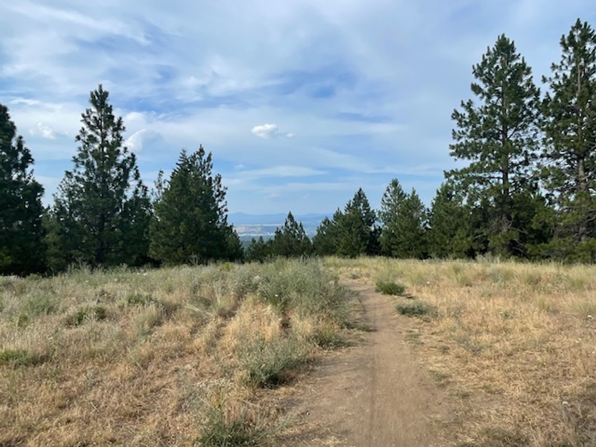 View looking north from the top of the Glenrose trail