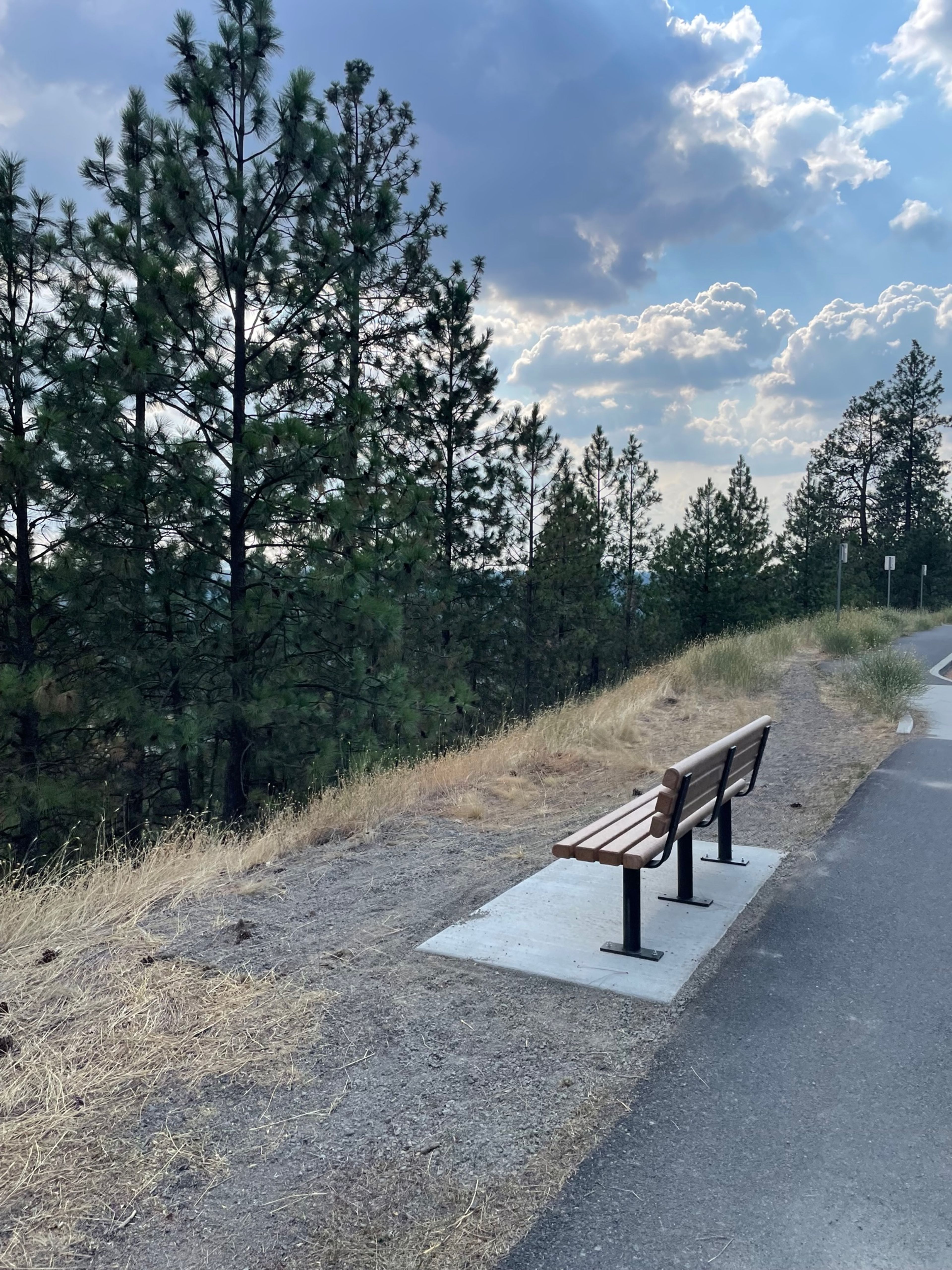 Great bench along High Drive with wonderful views of the Bluff!