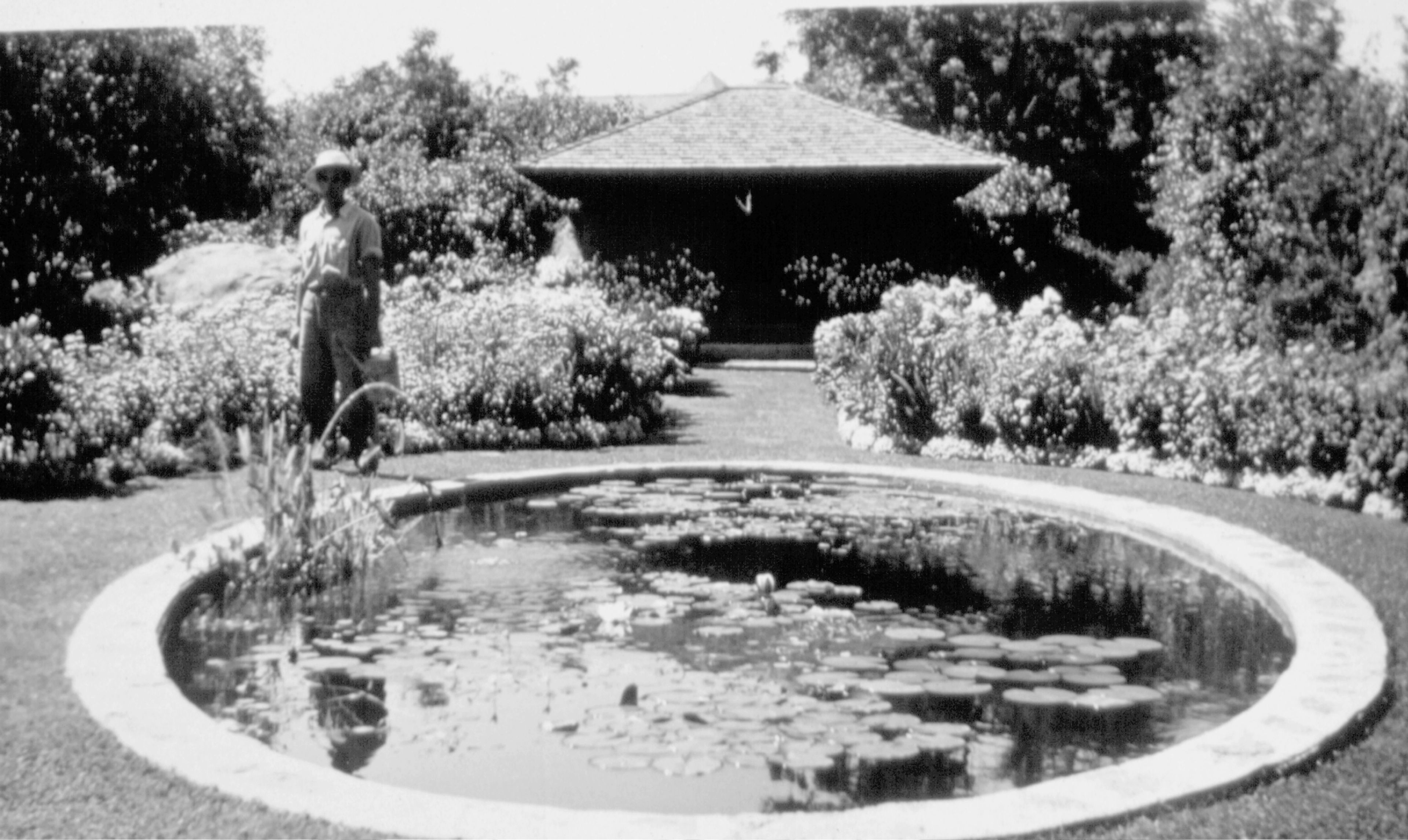 A black and white photo of the Olmstead-designed formal garden with a person standing in front of the tea house.