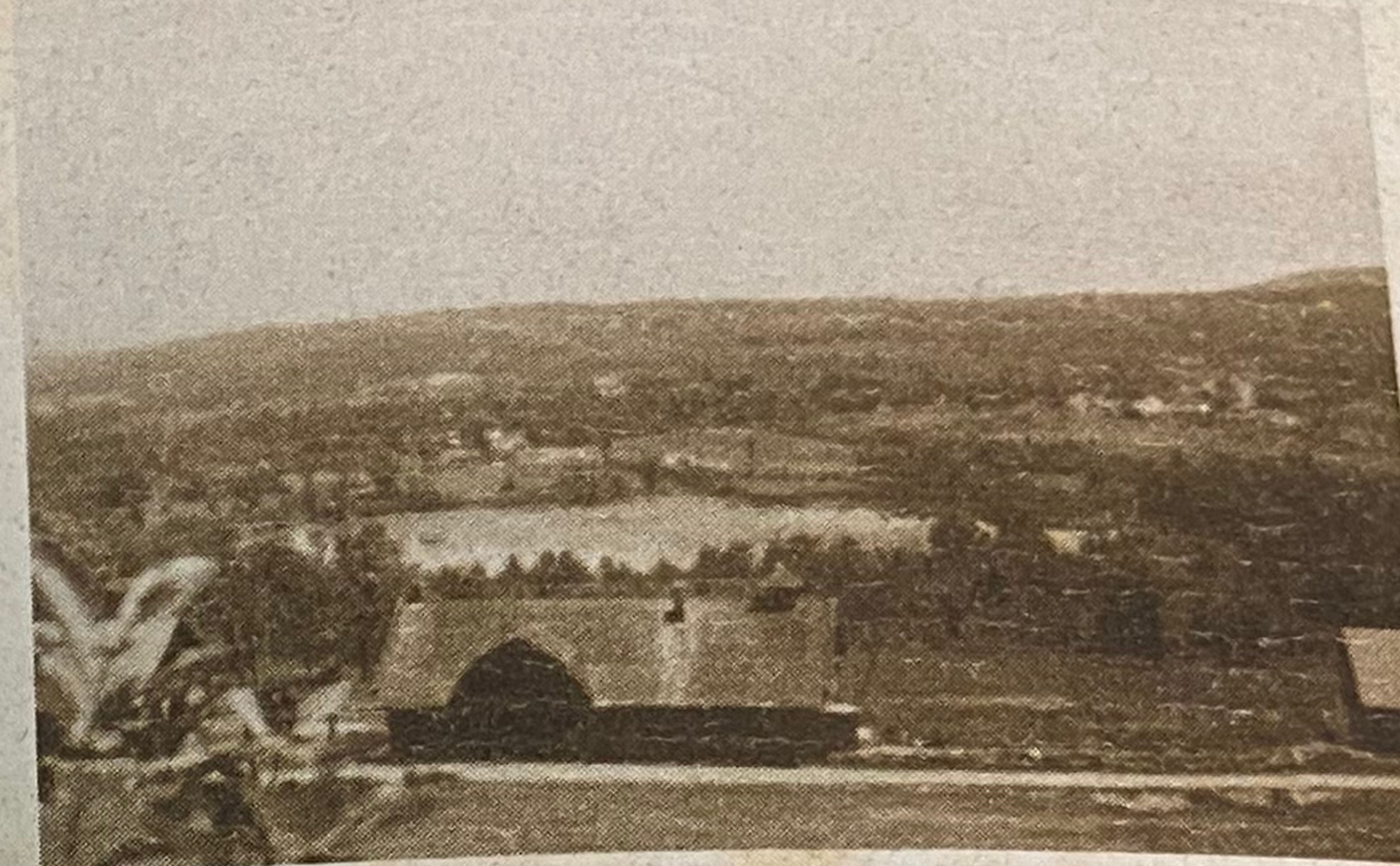 A view of the hillside in the Glessner's time in the 20th century.