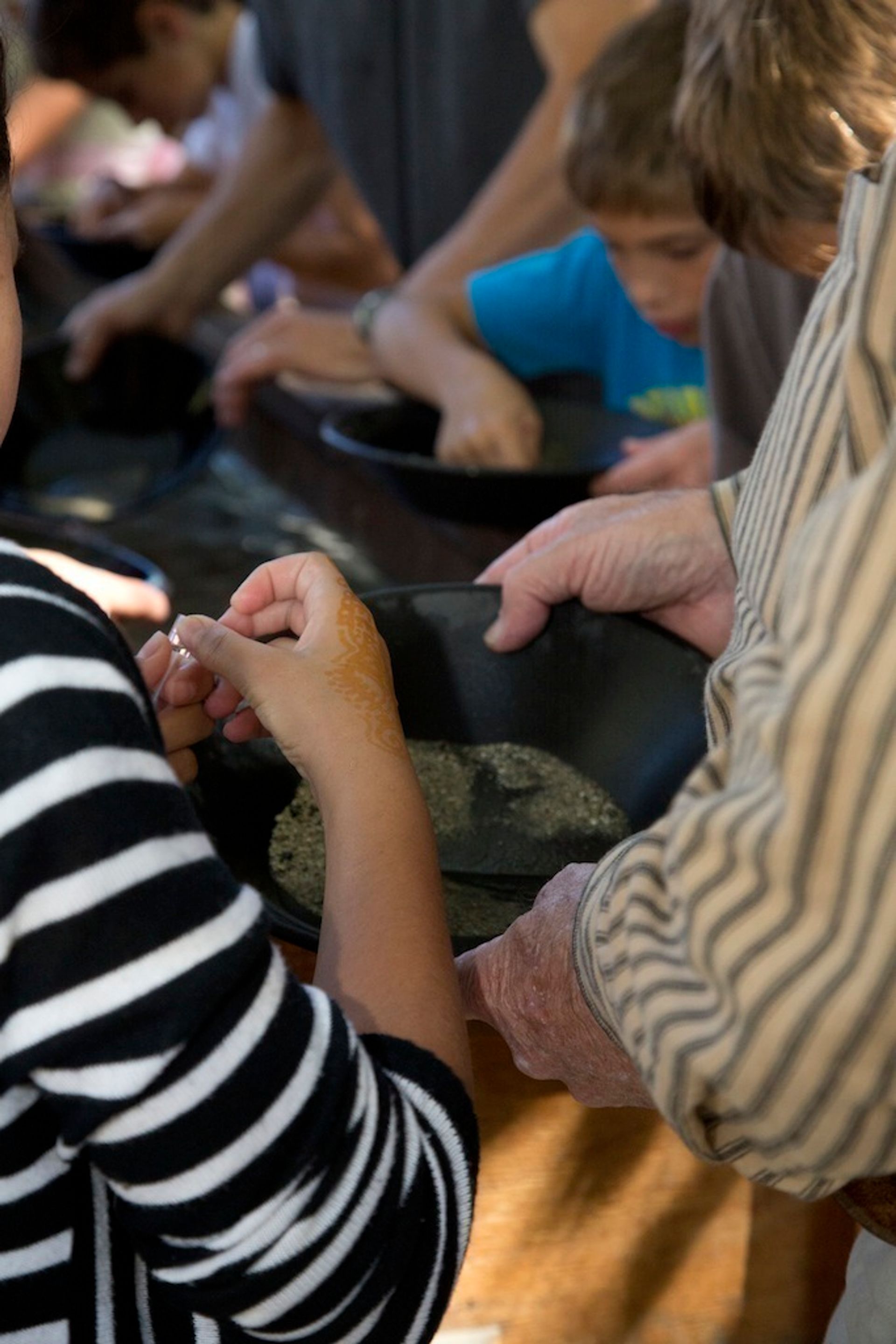 Gold Panning at Marshall Gold Discovery SHP