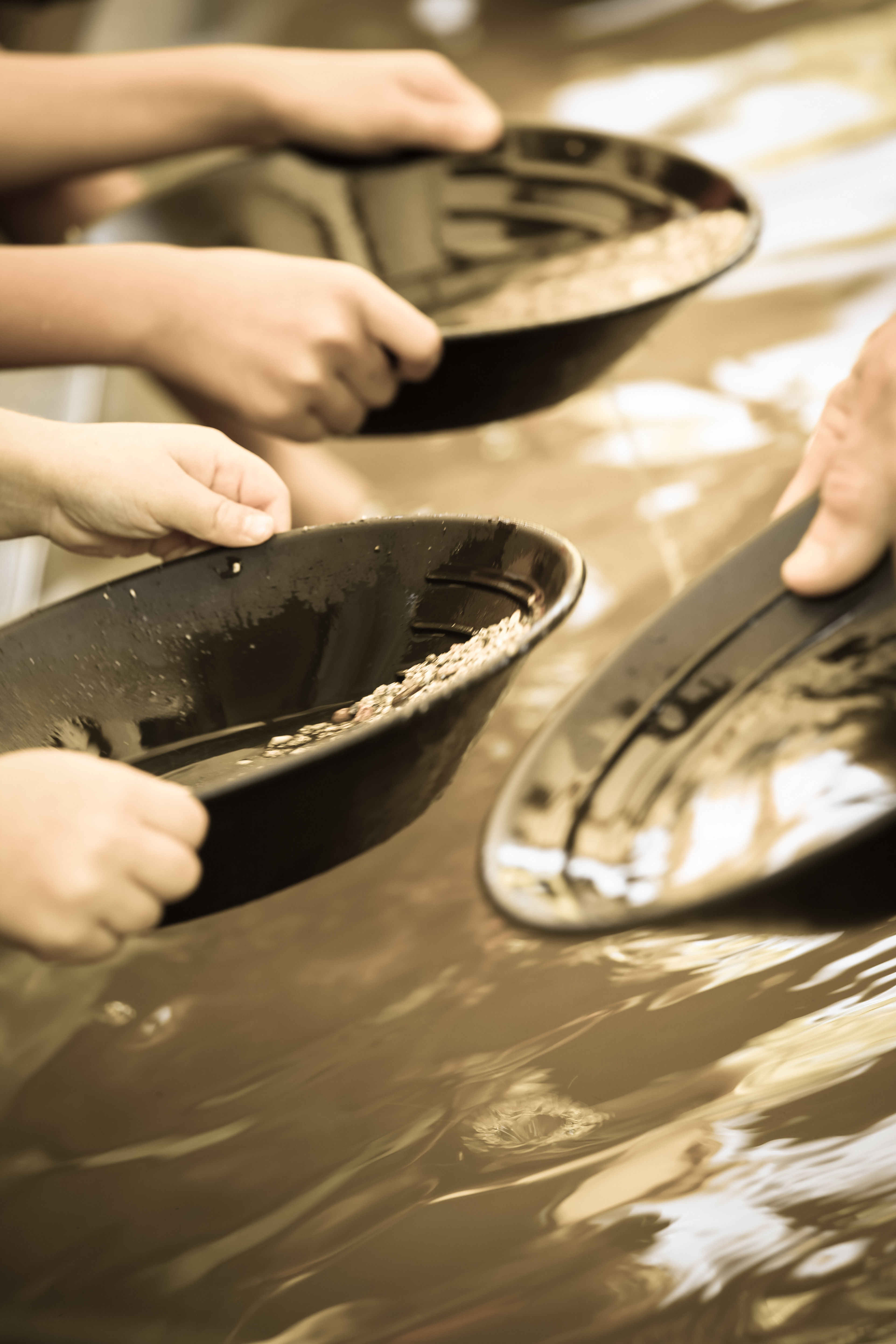 Gold Panning at Marshall Gold Discovery SHP