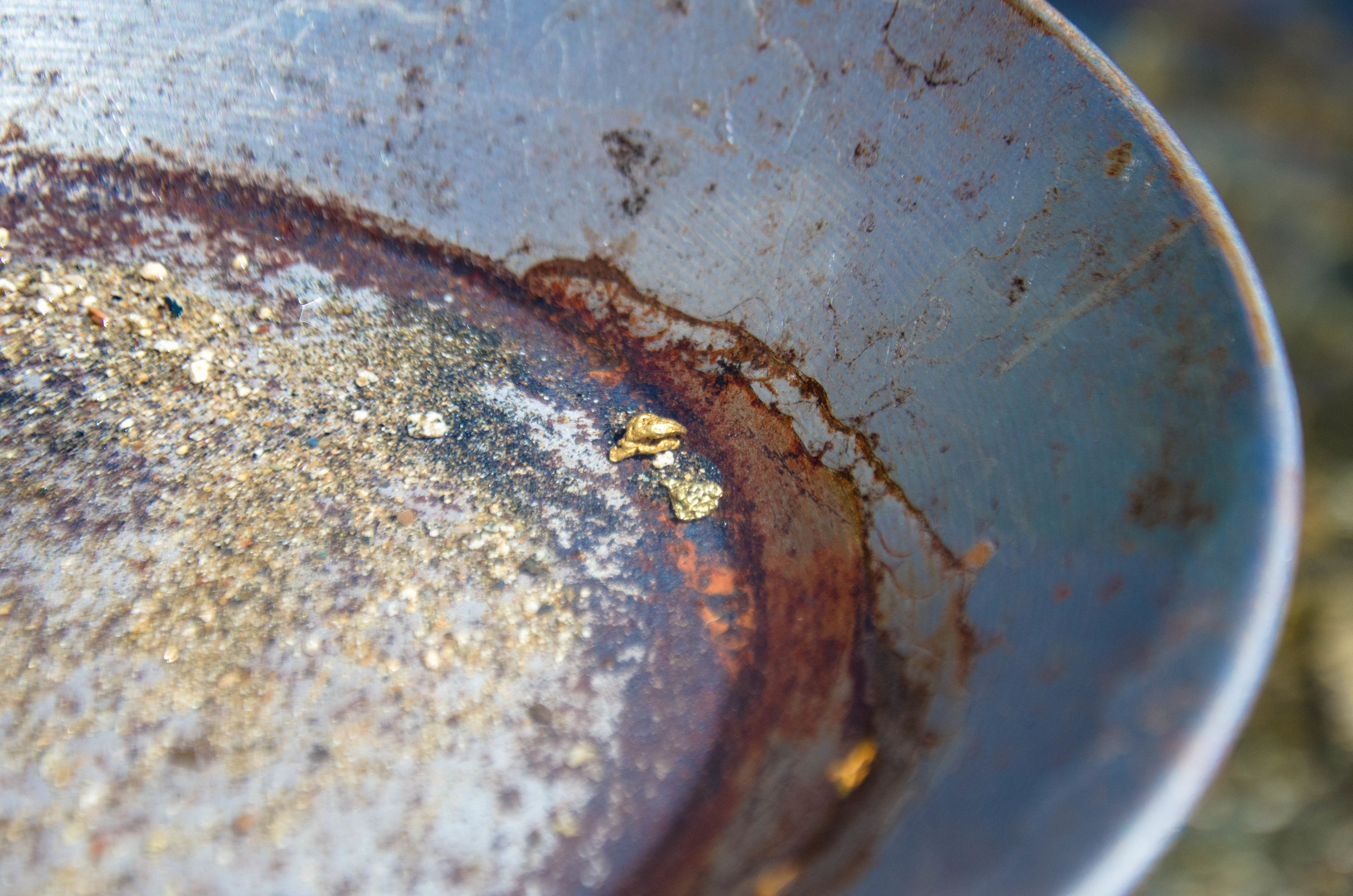 Gold Panning in the South Fork of the American River