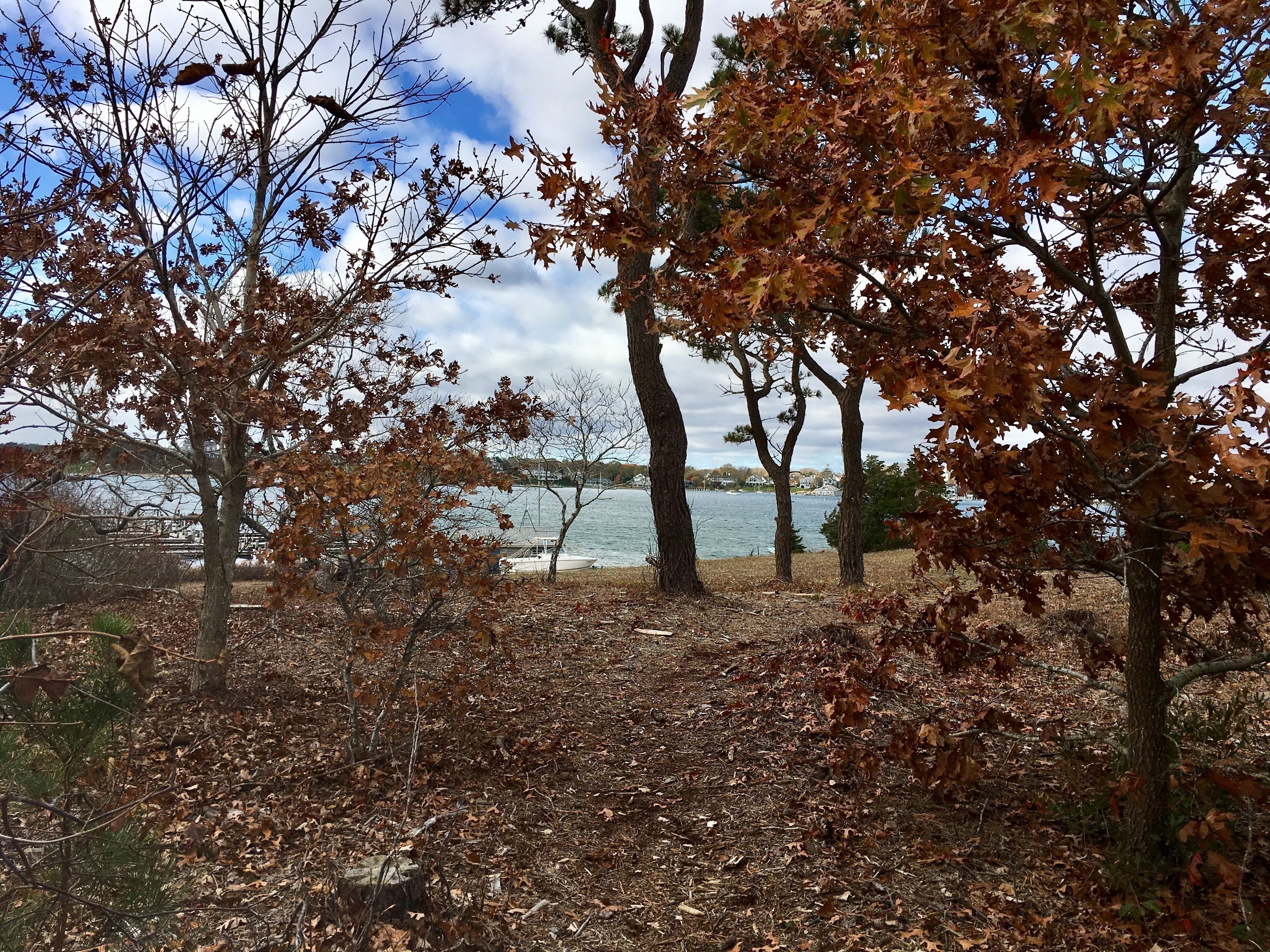 view towards Katama Bay