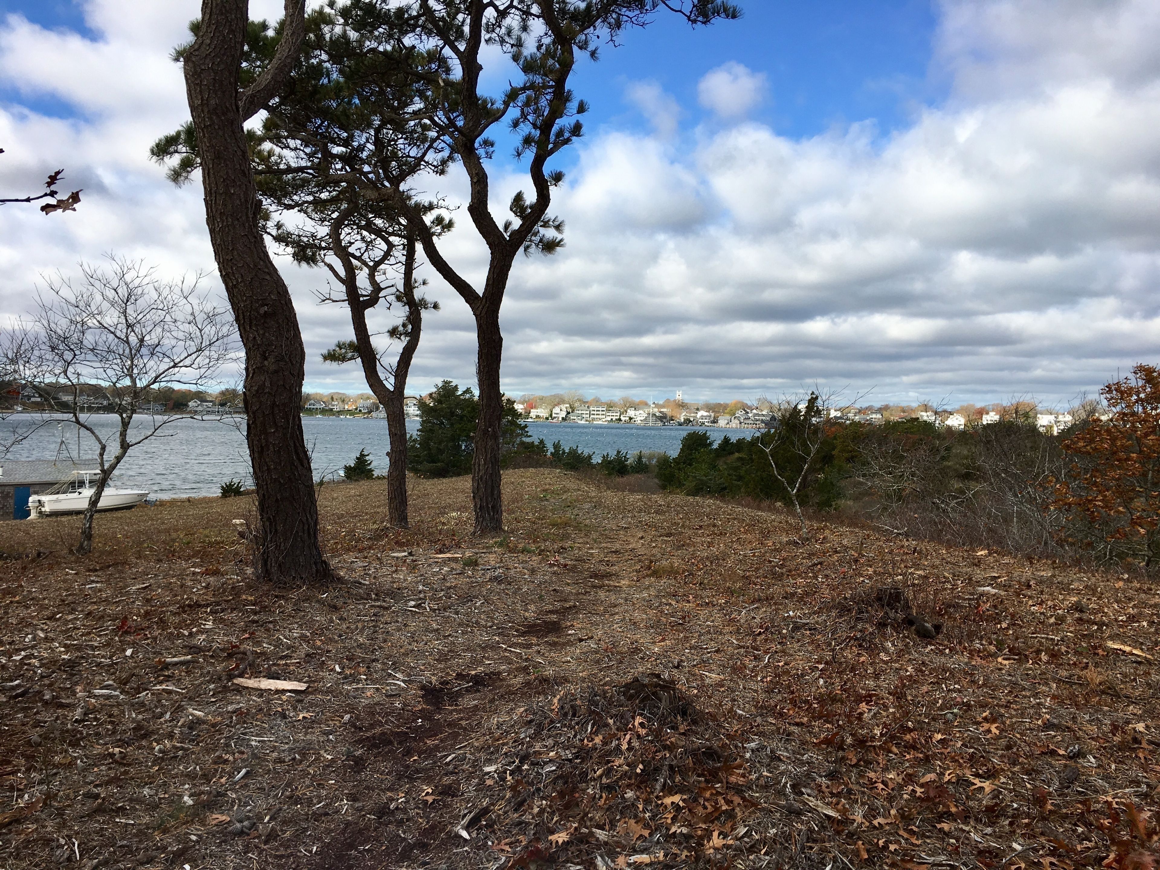 view of Katama Bay