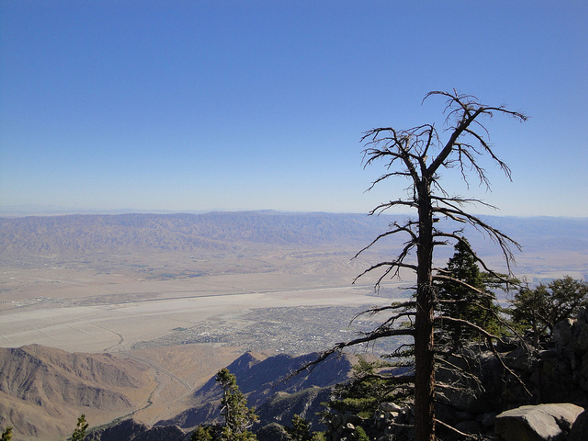 Mount San Jacinto State Park. 