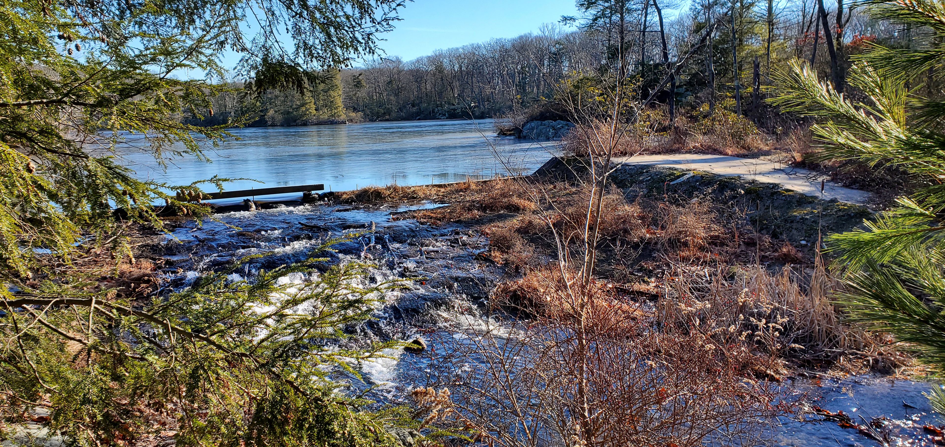 Bear Pond outflow toward Lubbers Run creek