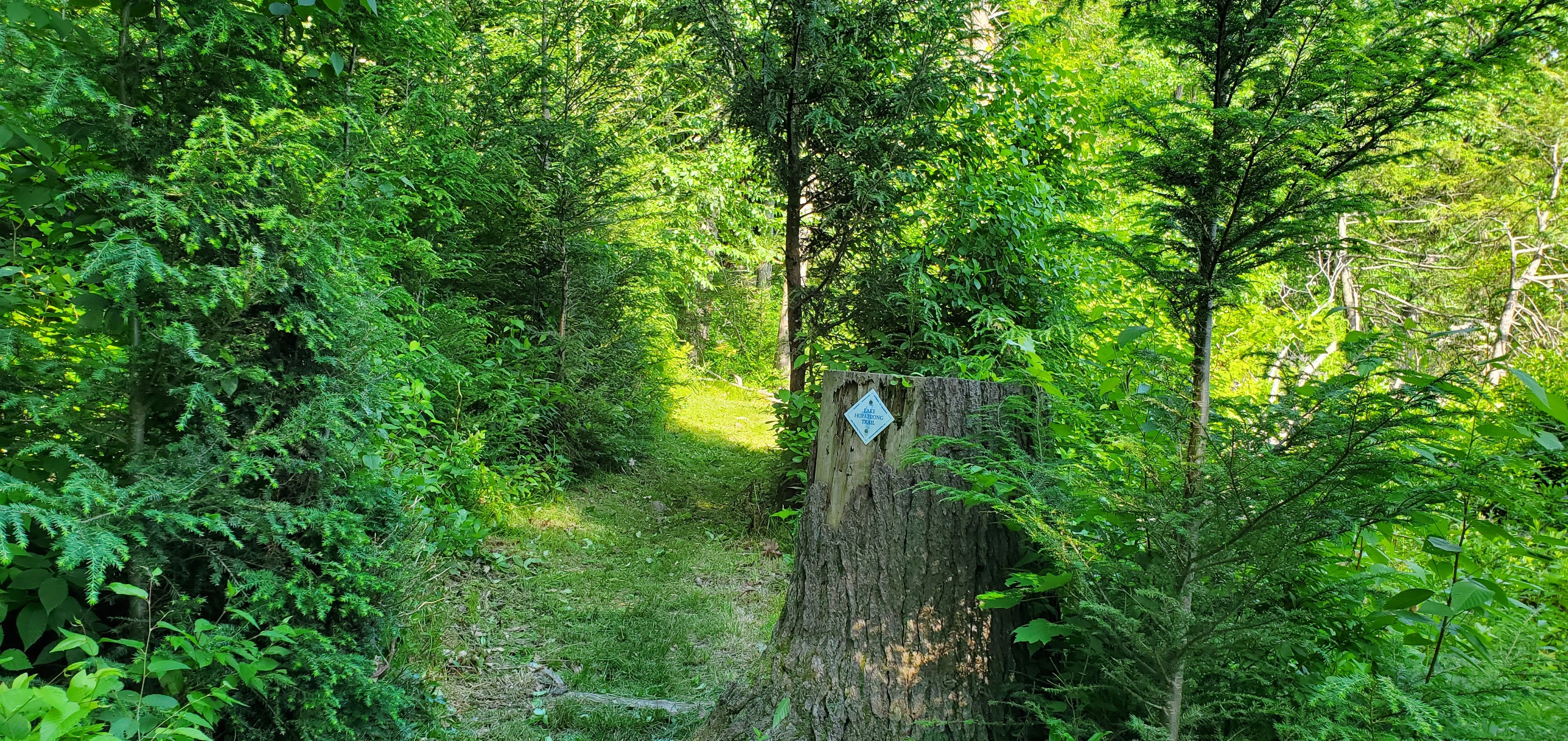 Lake Hopatcong Trail/Highlands Trail along Bear Pond