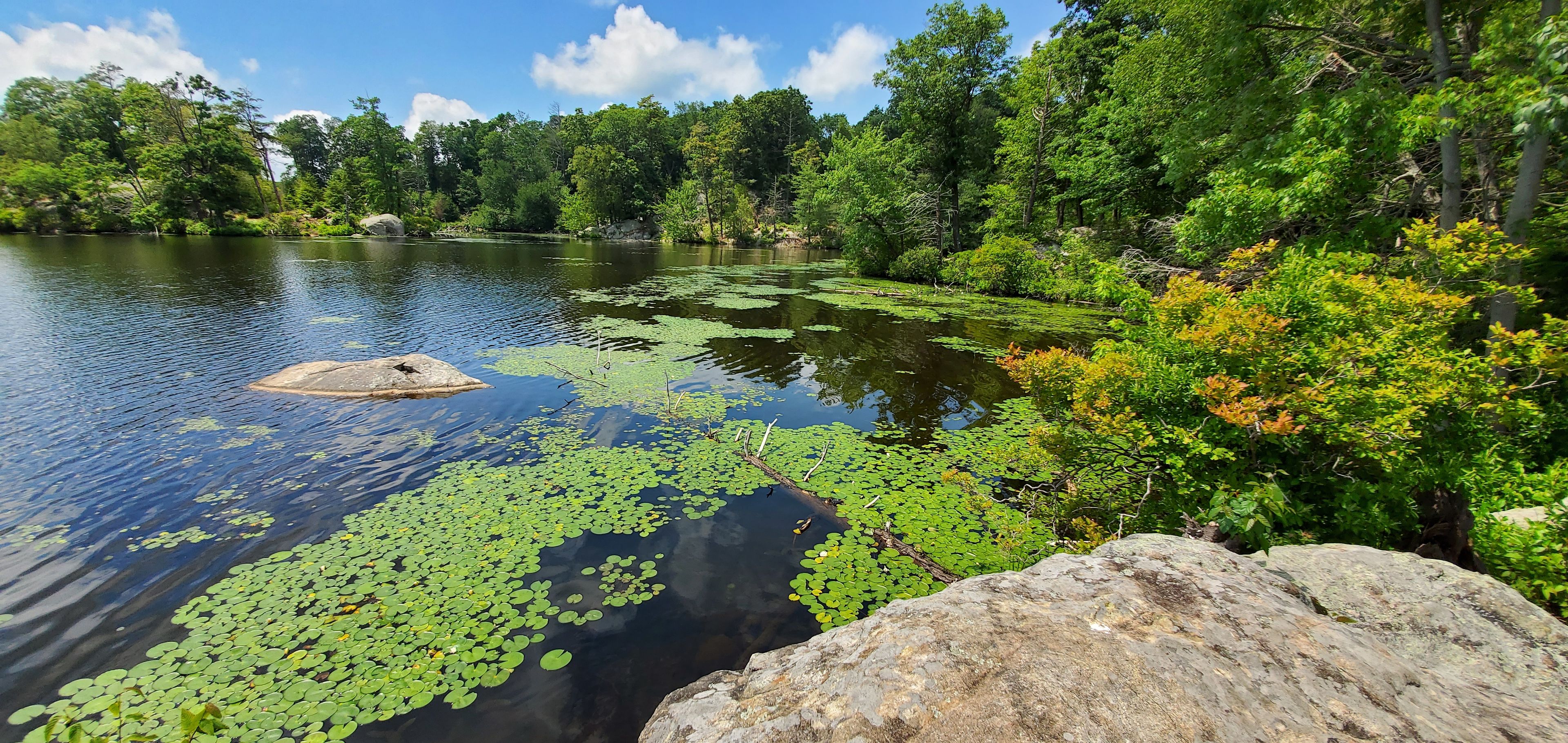 View from Campsite on Bear Pond / Lake Hopatcong Trail