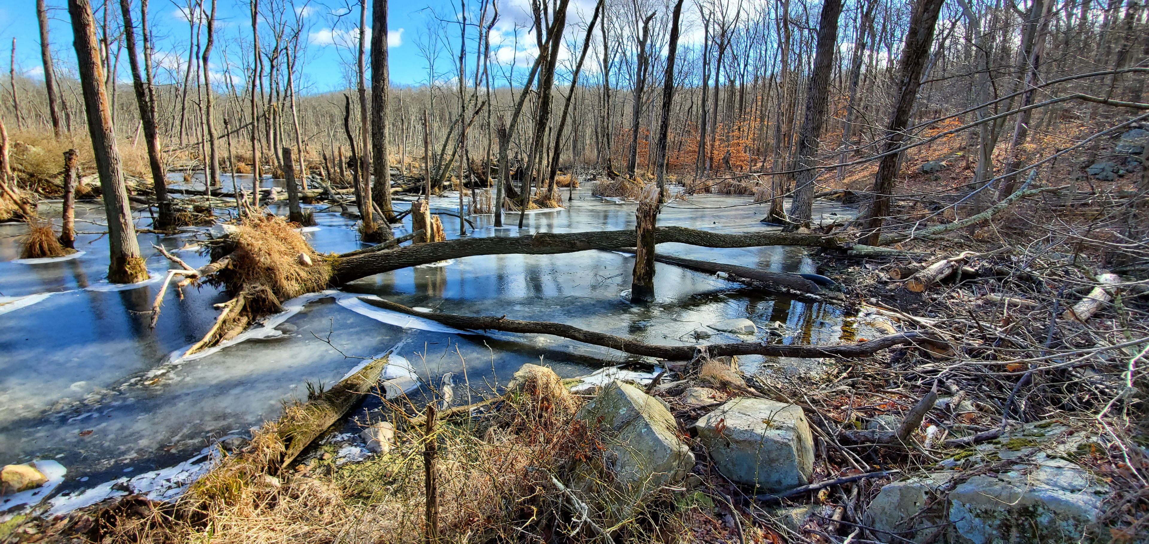 The Marsh @ Cowboy Creek