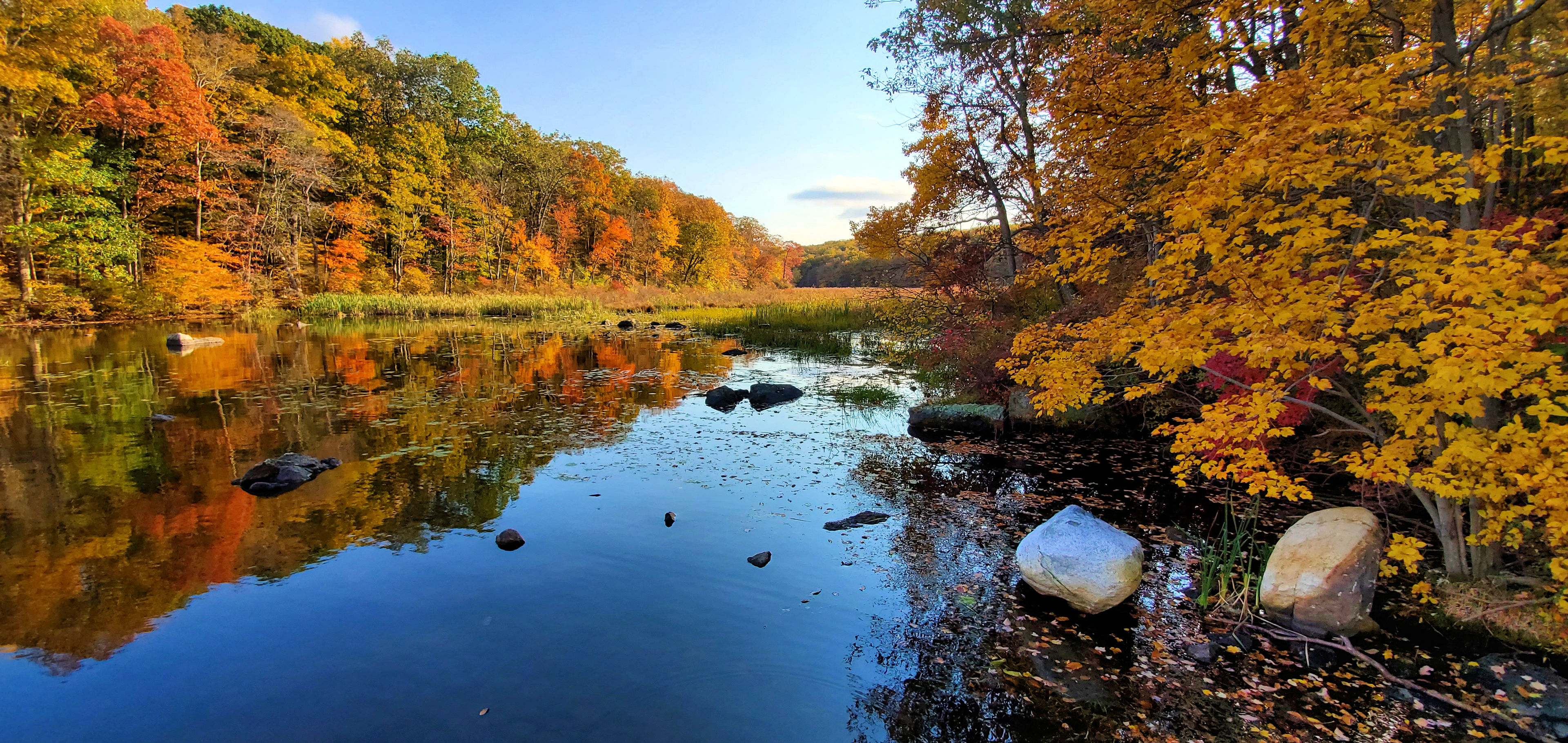 Liffy Island marsh at its autumn peak color