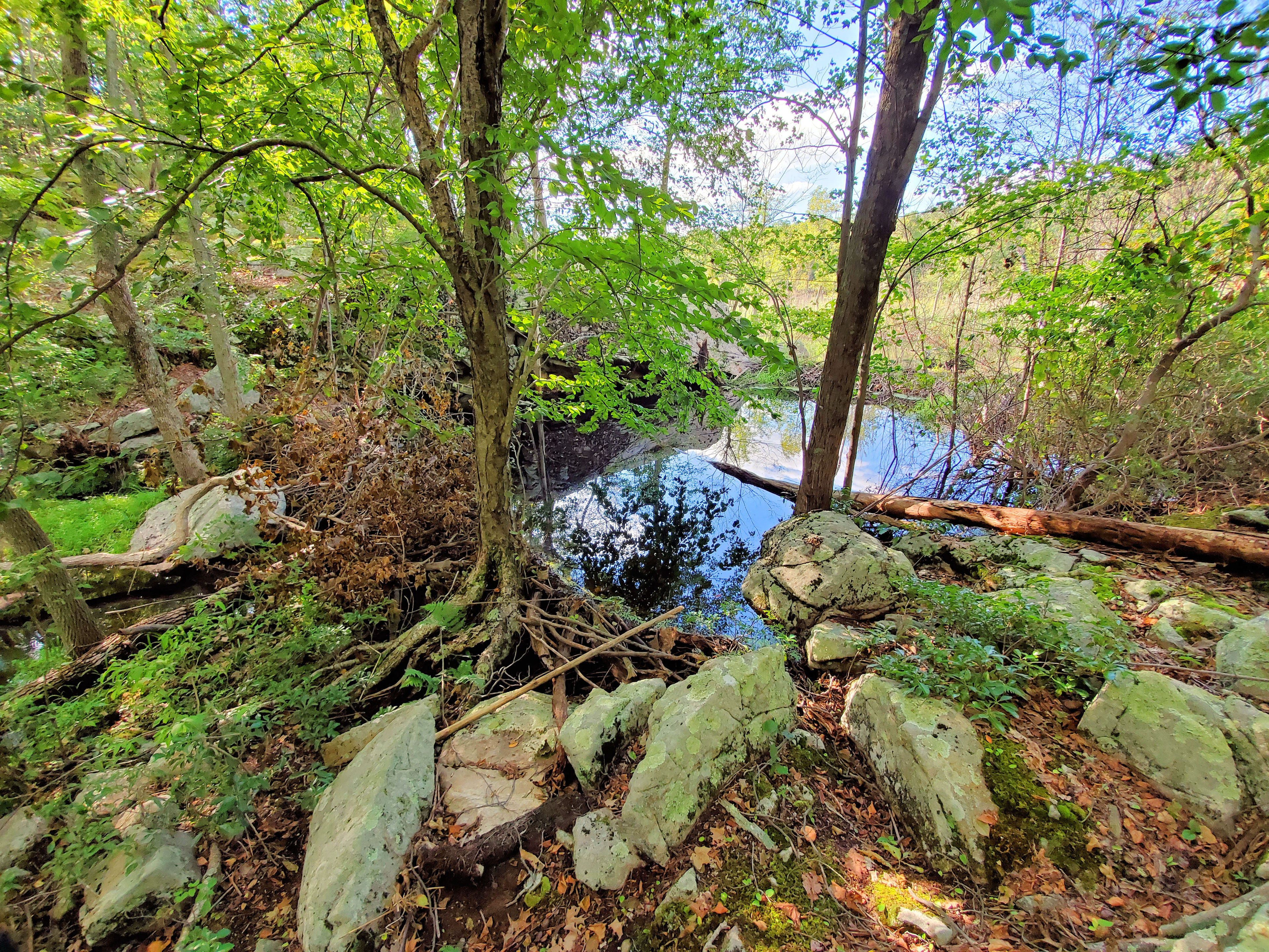 Lower Beaver Dam at Mt Brook March