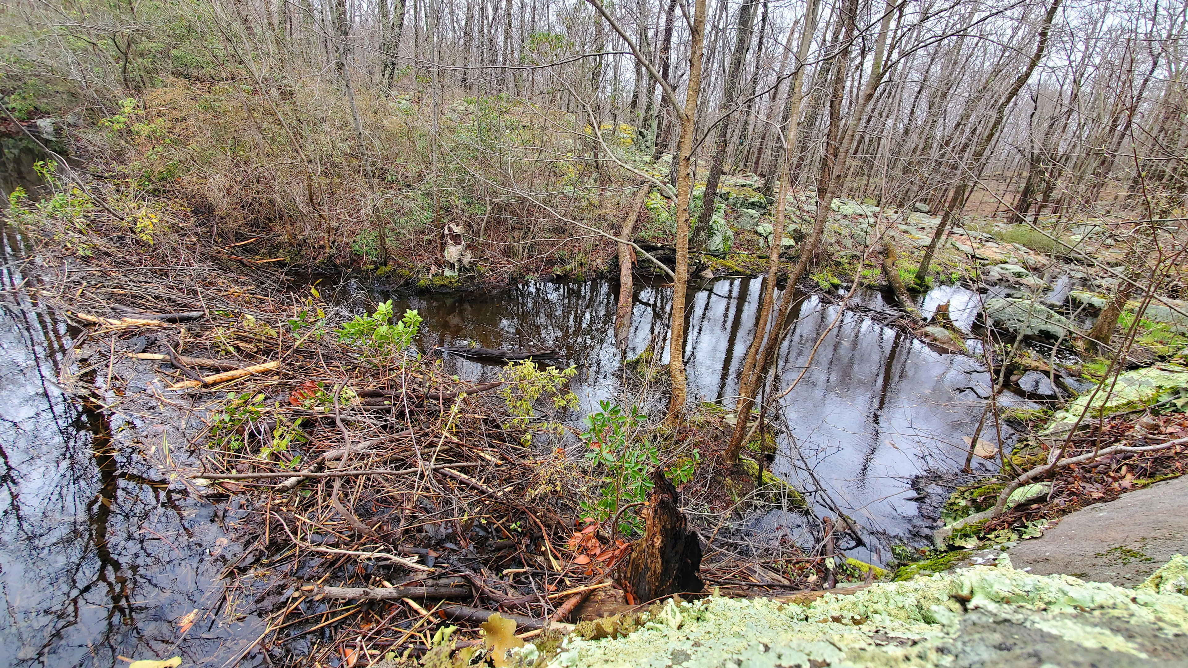 Upper Beaver Dam @ Mt Brook March