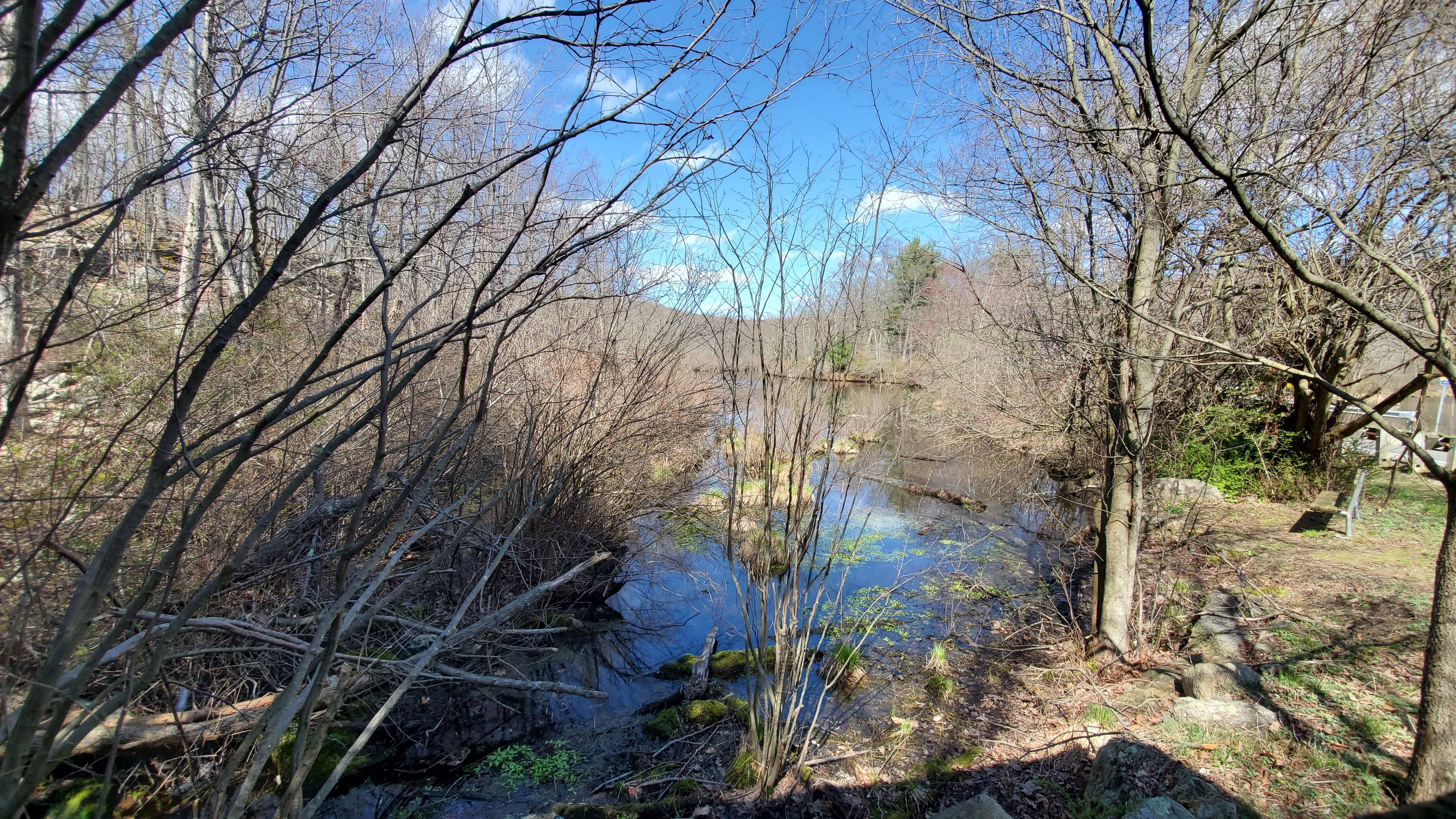 Marsh-side of Mt Inlet