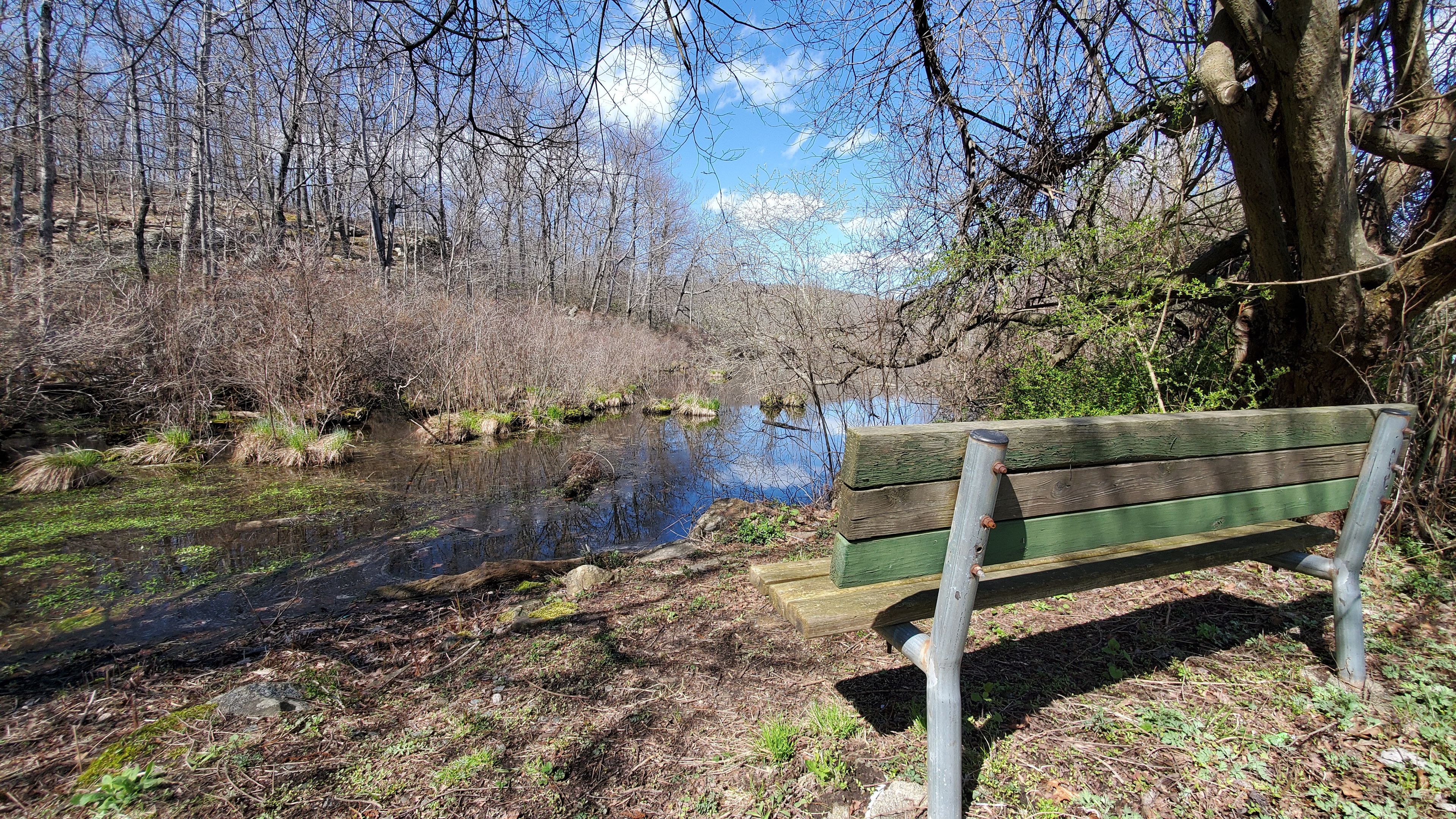 Bench @ the Mt Inlet Sanctuary bird blind