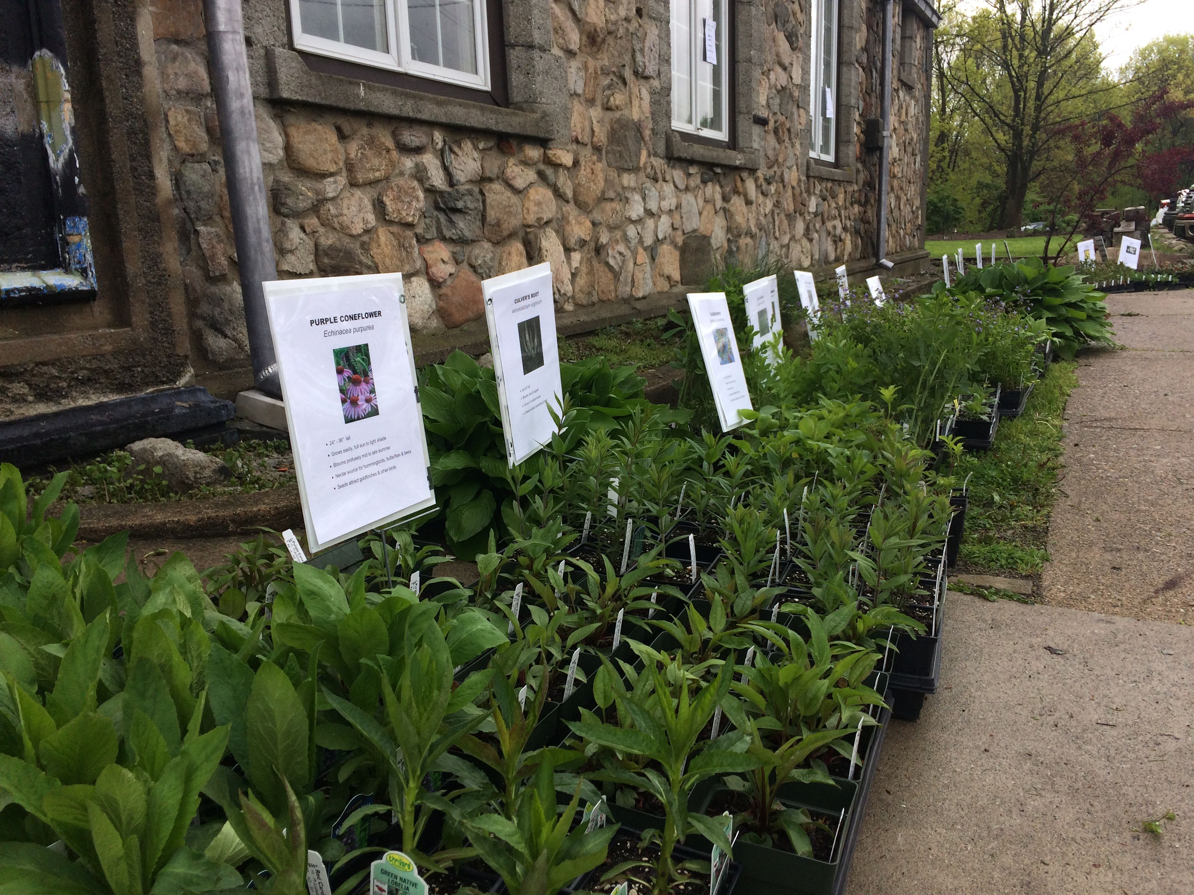 Plant Sale 