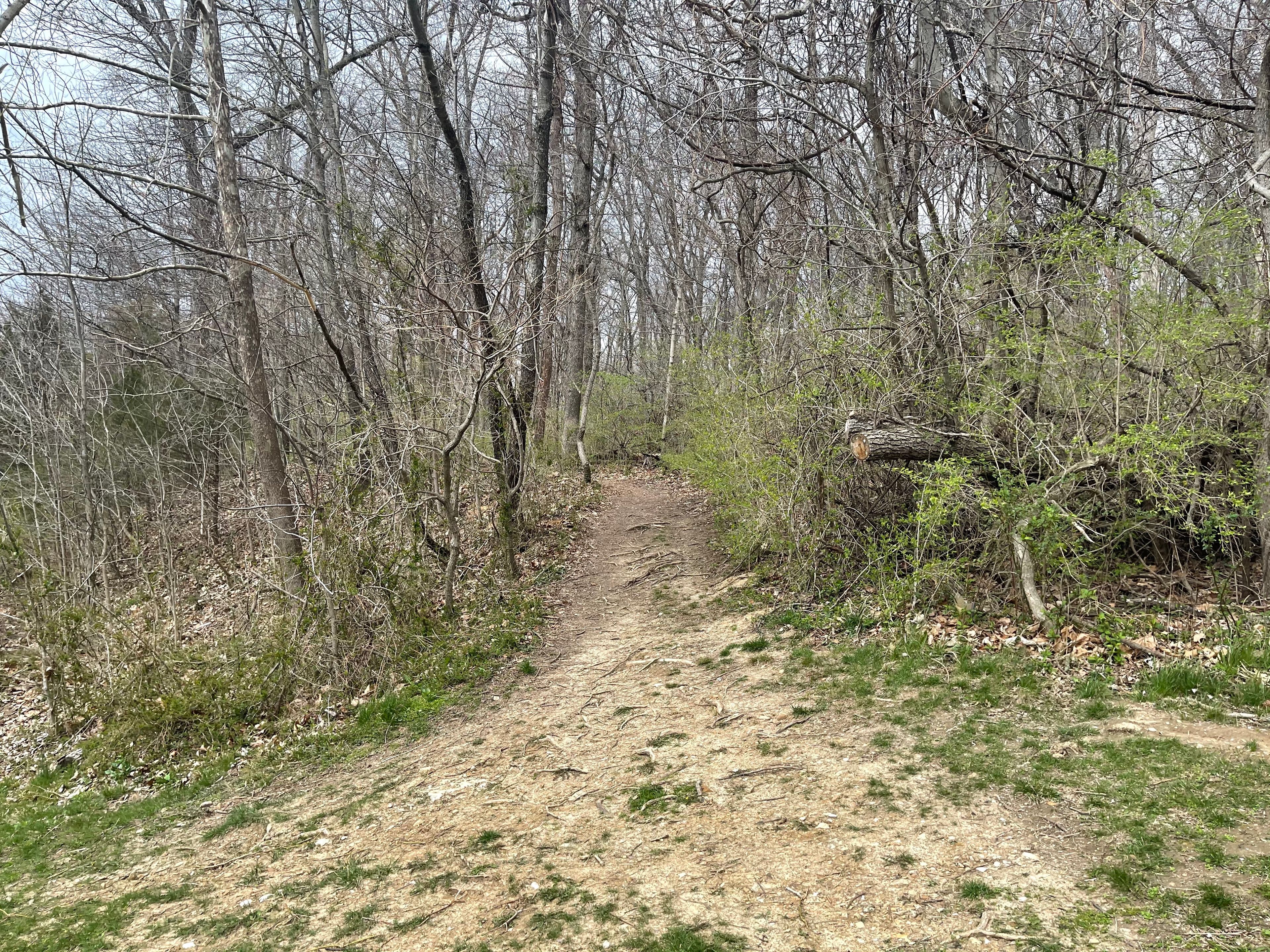 Twin Lakes North Trailhead