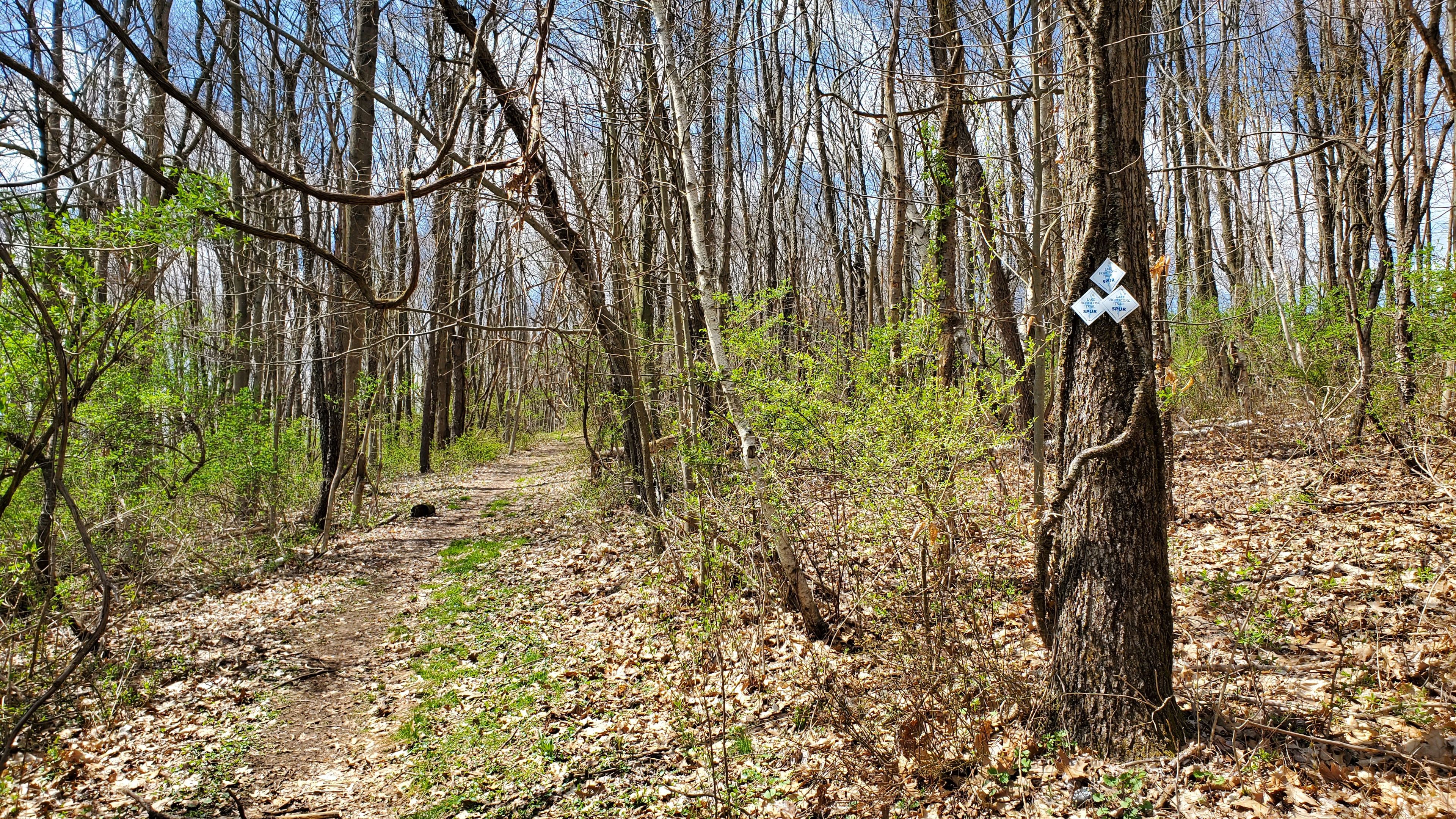 Trail head at Hopatcong Senior Center