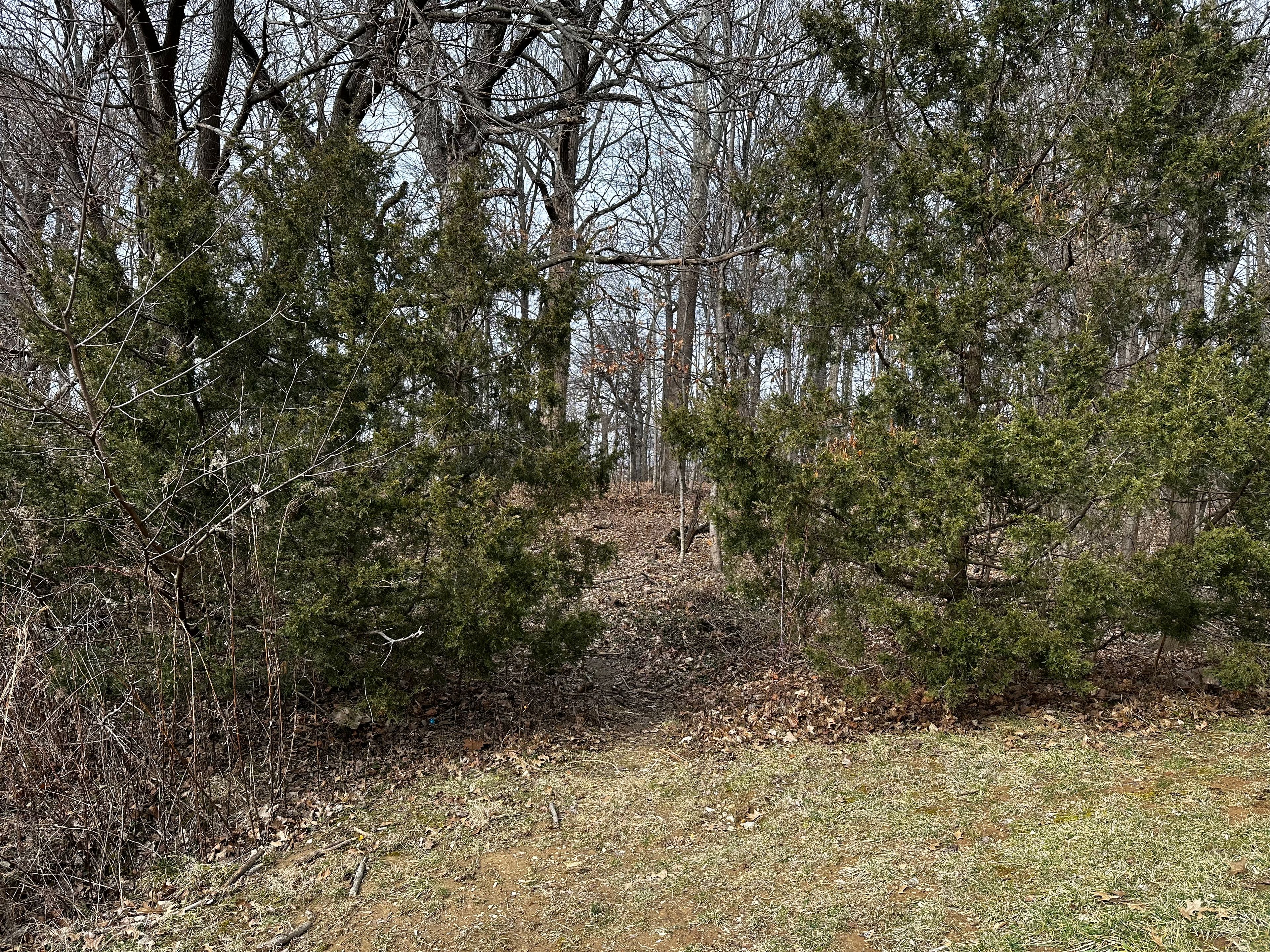 Latimer Woods Left Trailhead