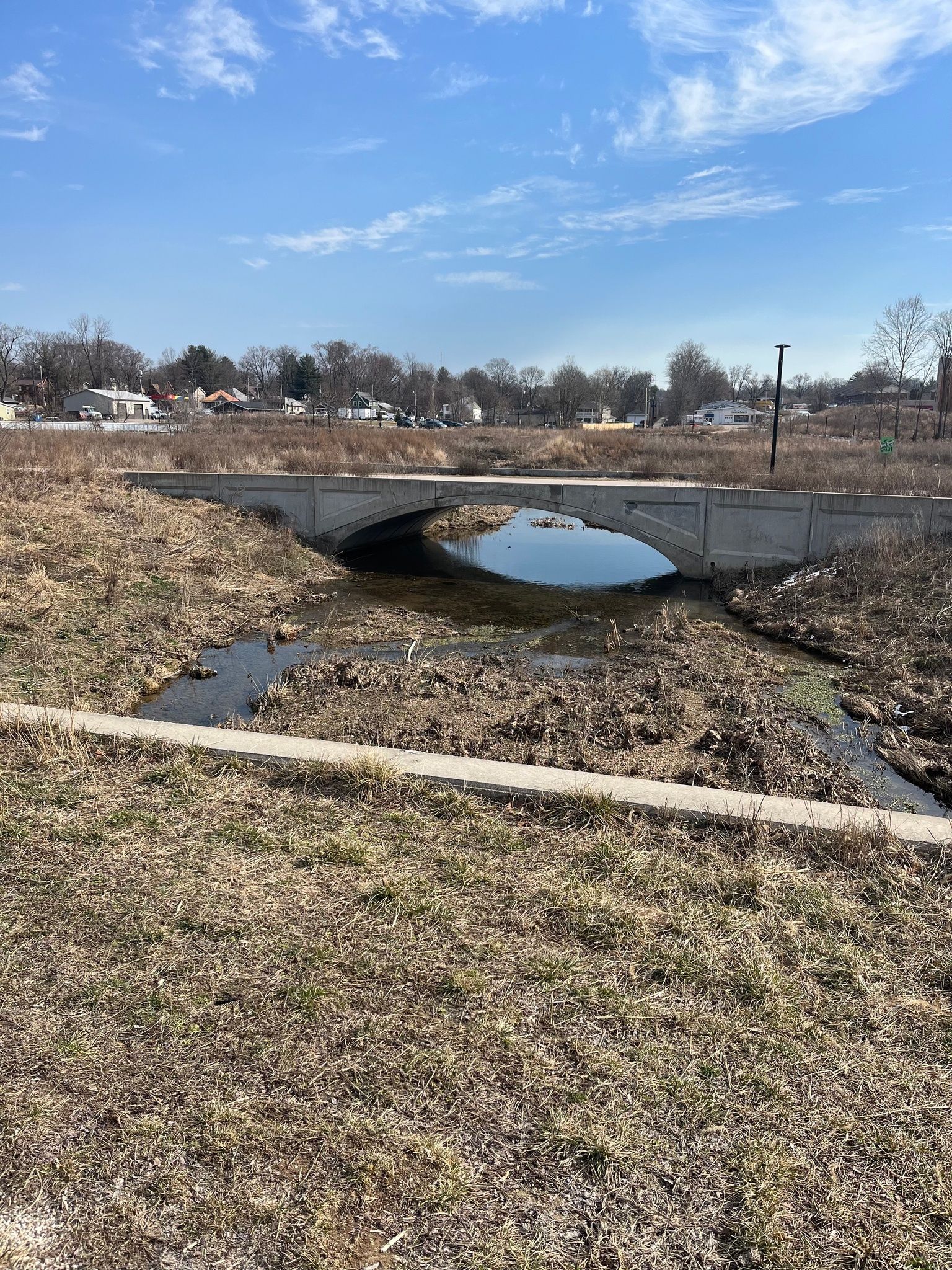 Switchyard Park Eco-Tour Daylighted Stream