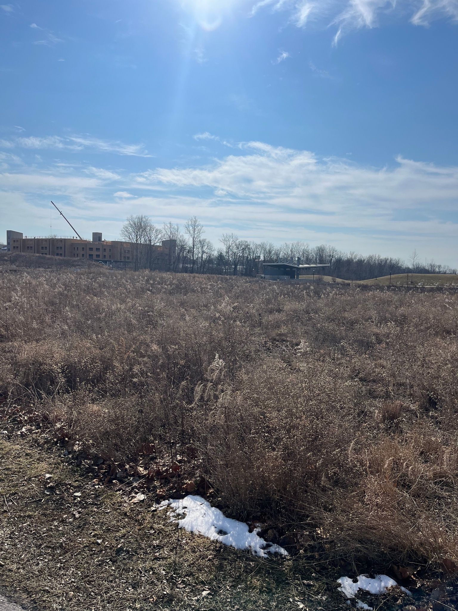 Switchyard Park Eco-Tour - Native Plantings