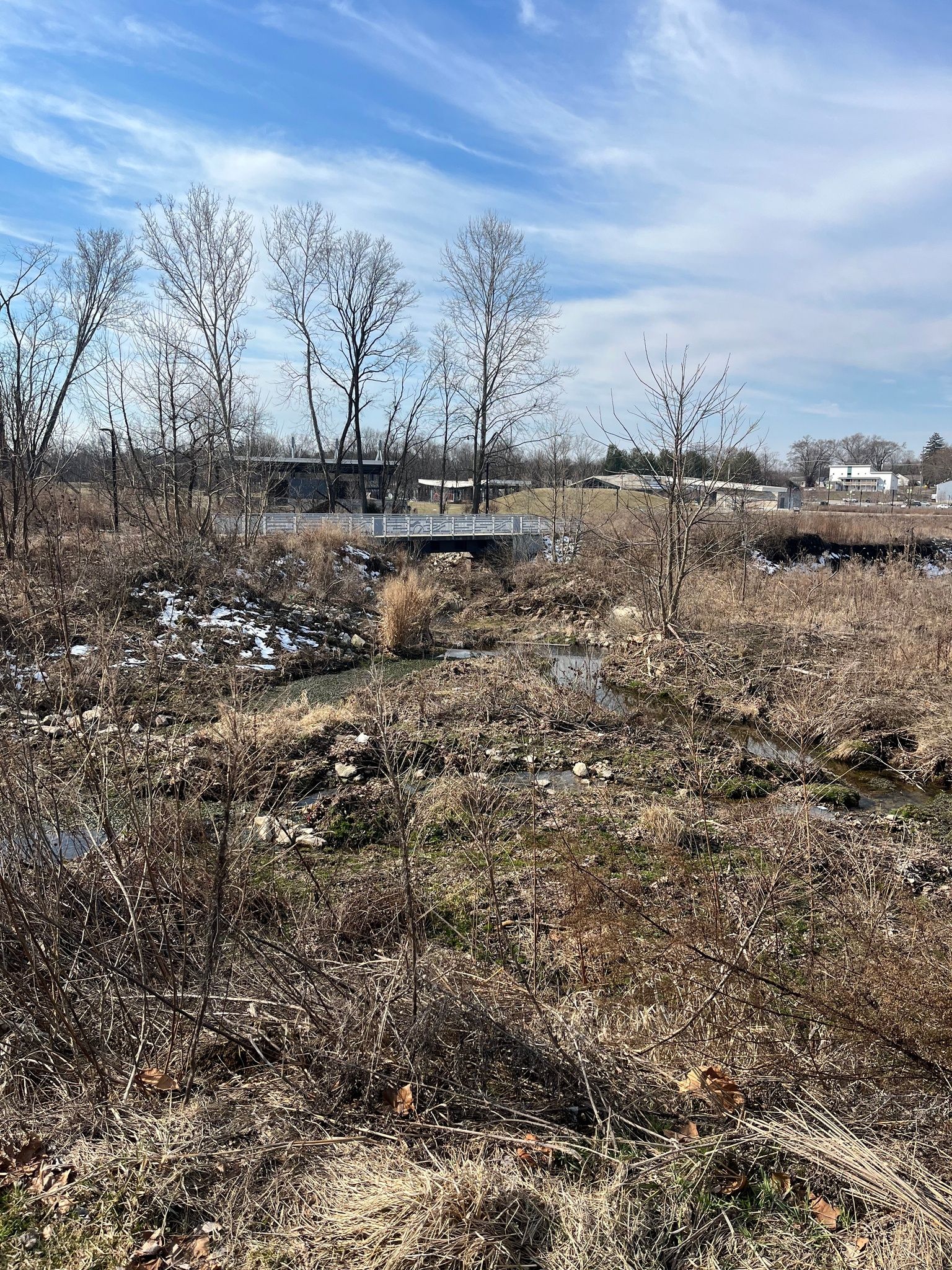 Switchyard Park Eco-Tour - Wetland