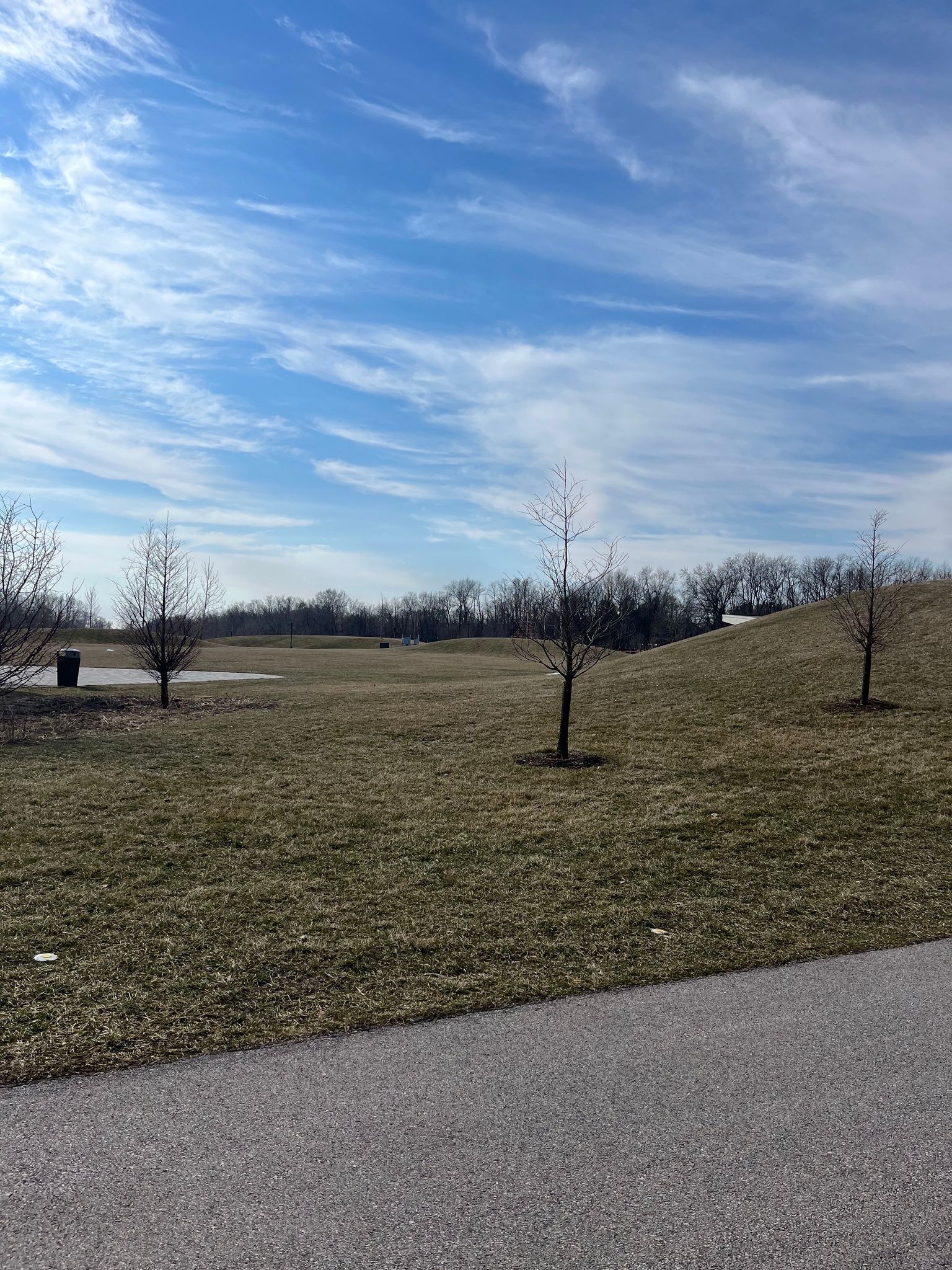 Switchyard Park Eco-Tour - Mounds