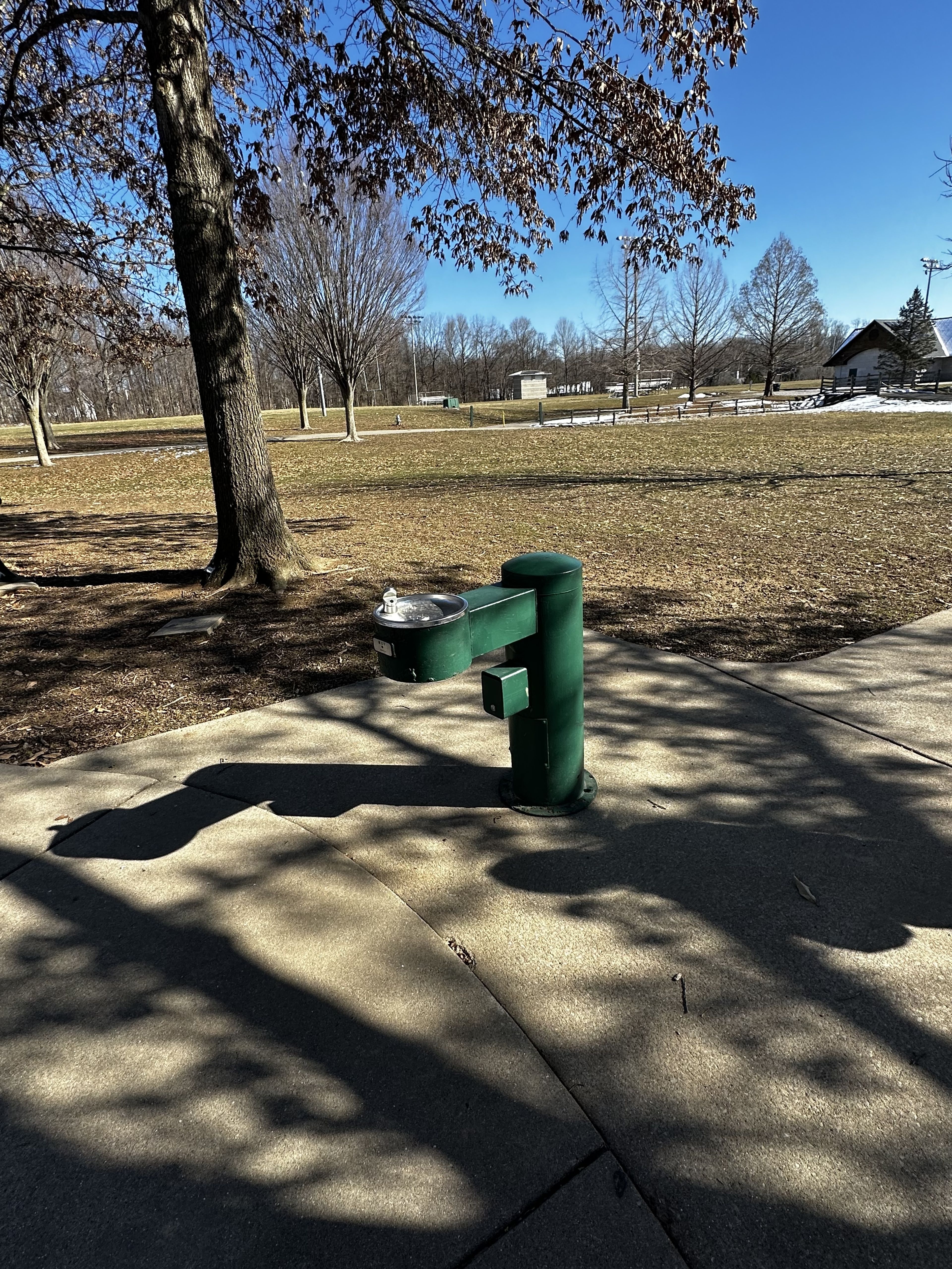 Olcott Park Drinking Fountain