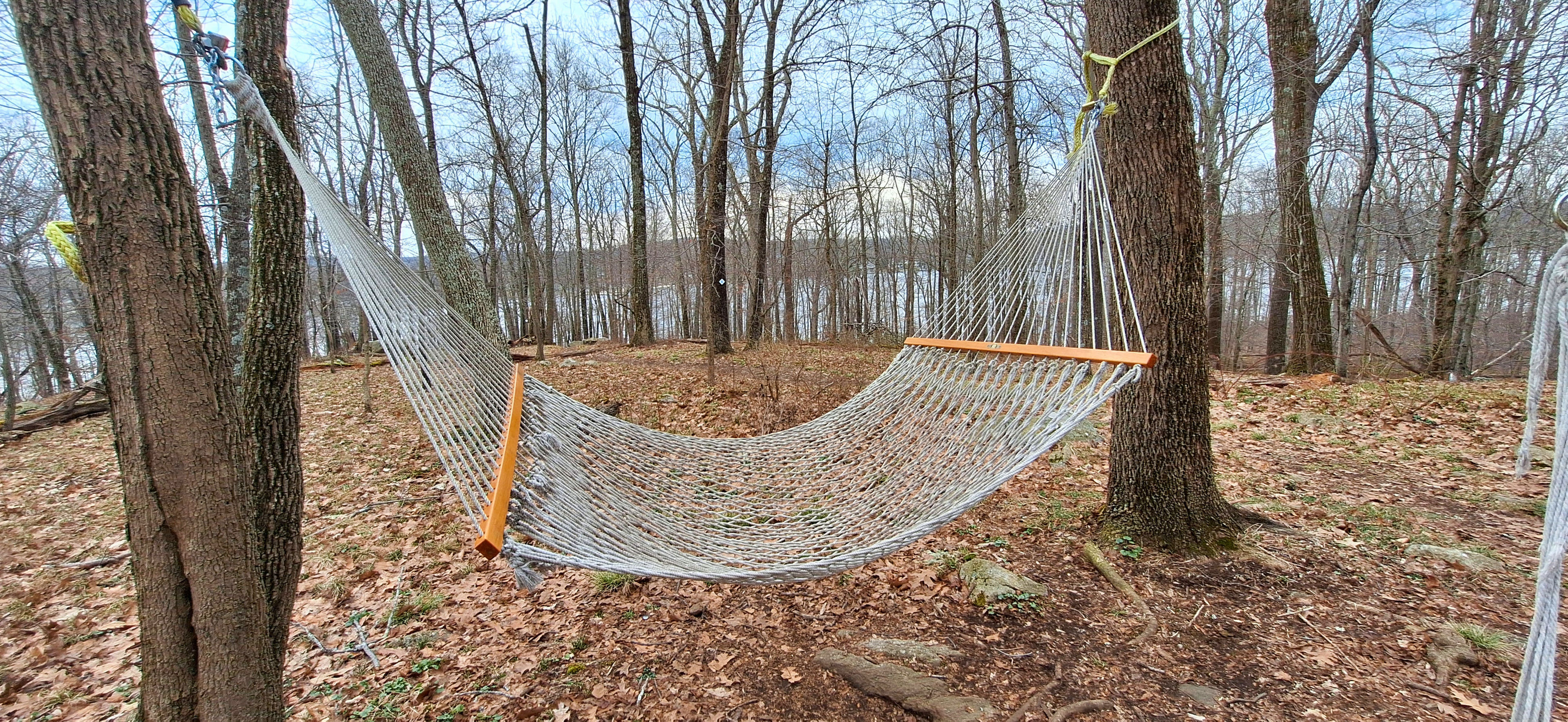 Liffy Island Hammock