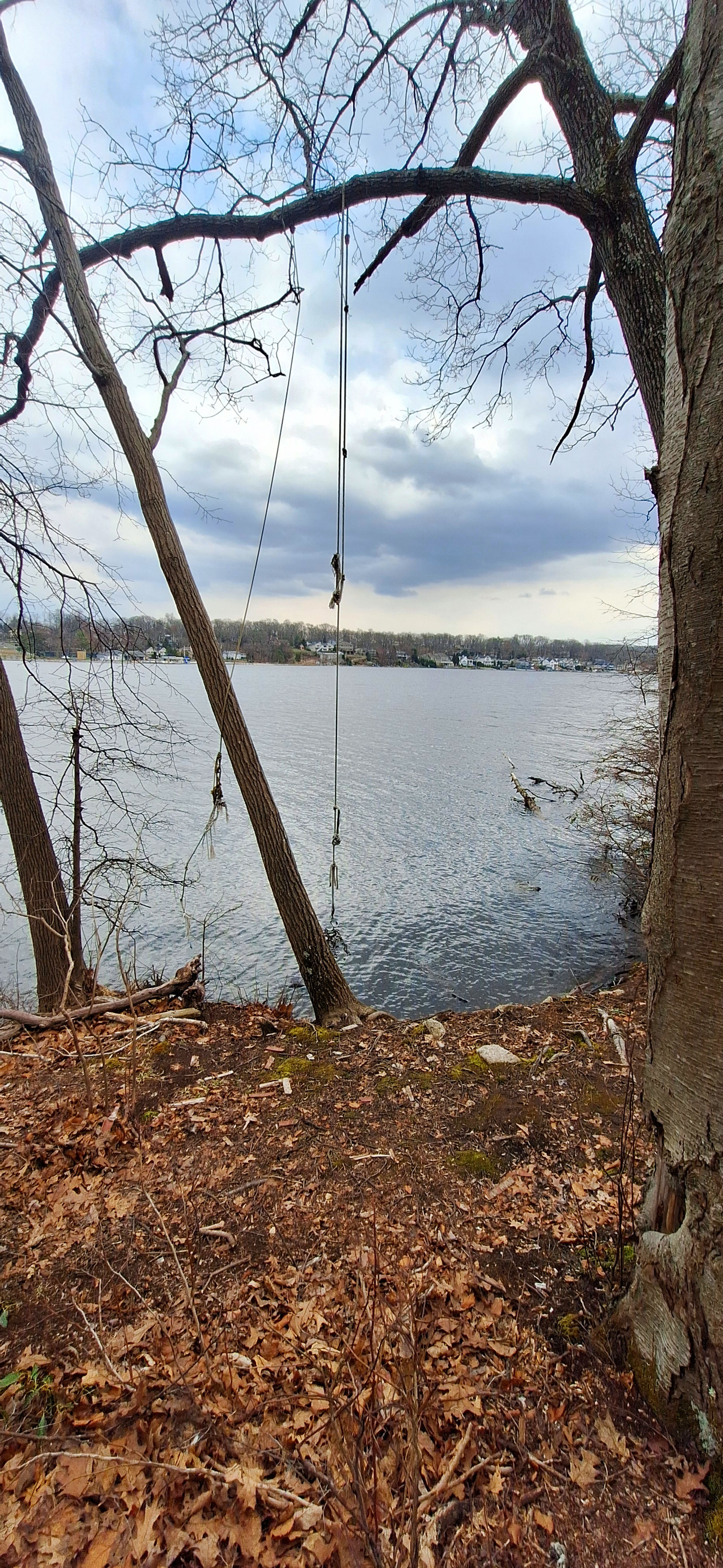 Liffy Island Rope Swing