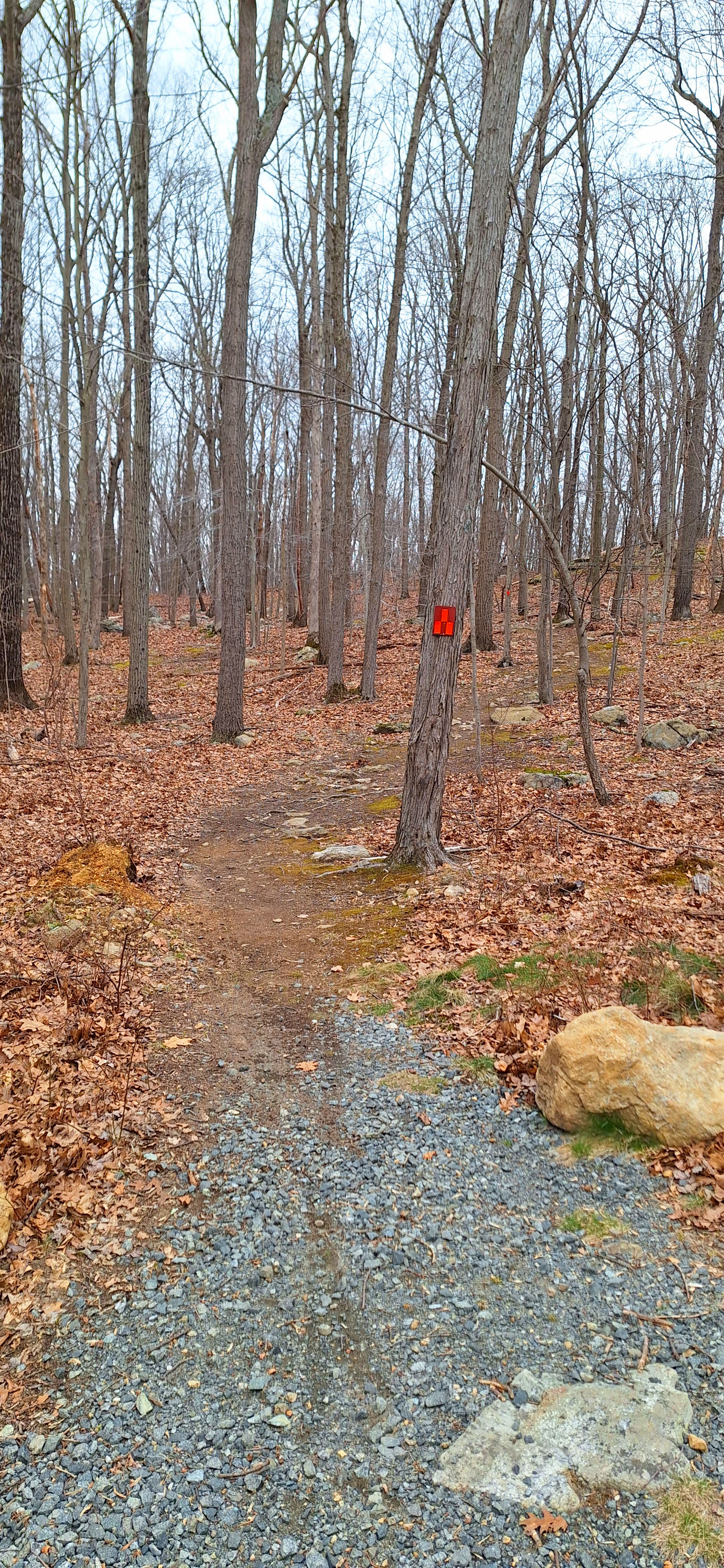 Liffy Island (LHT spur) trailhead at Prospect Pt Road