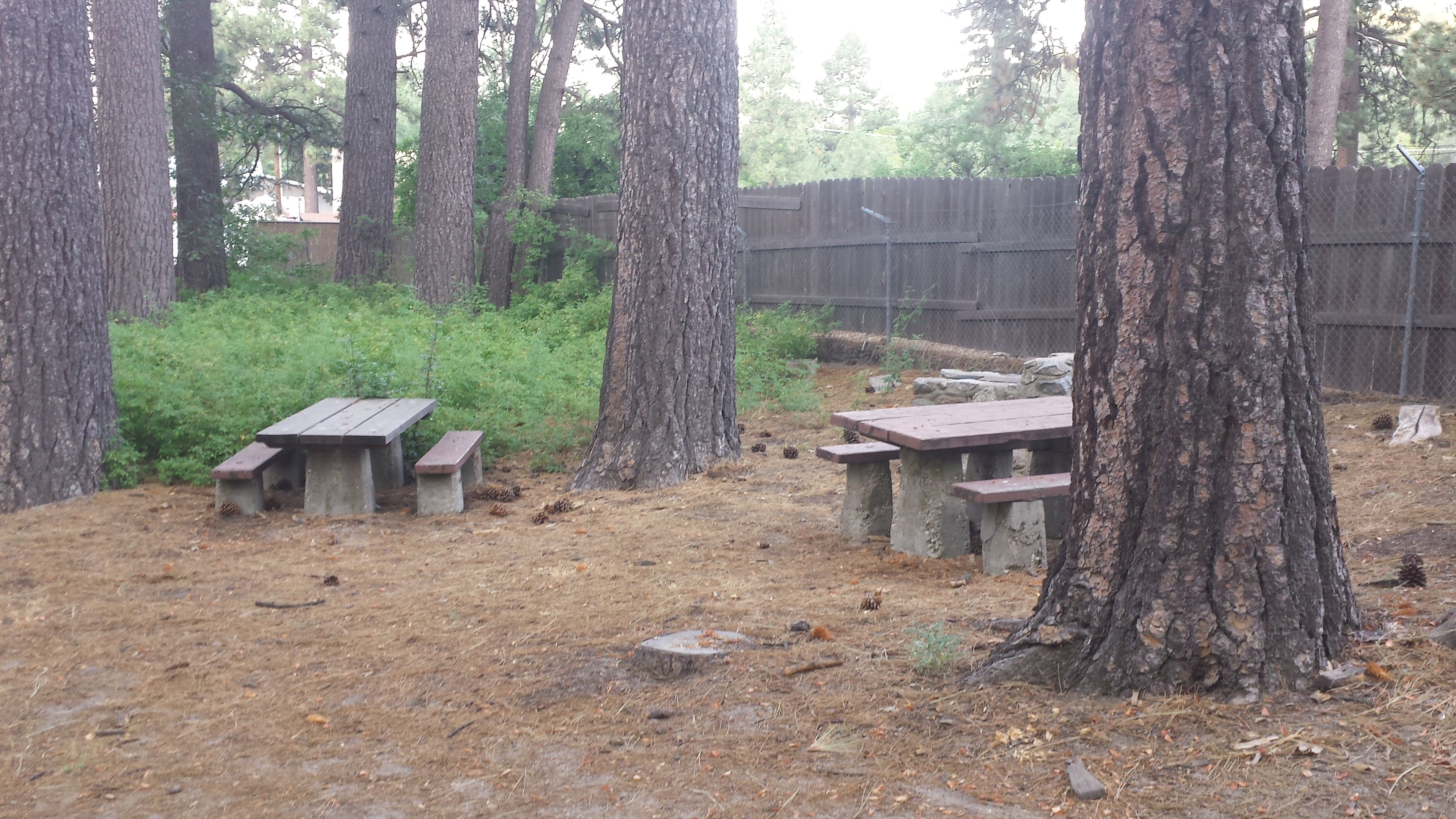 Picnic area at Idyllwild Campground.