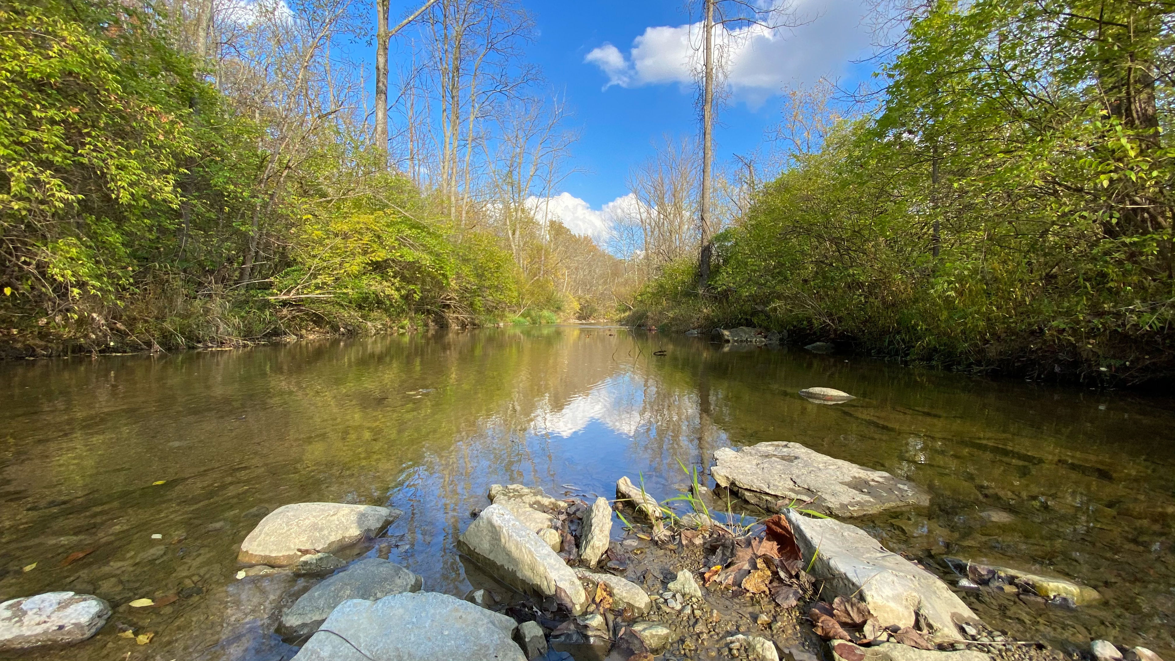 blue rock state park river stream with trees on both sides